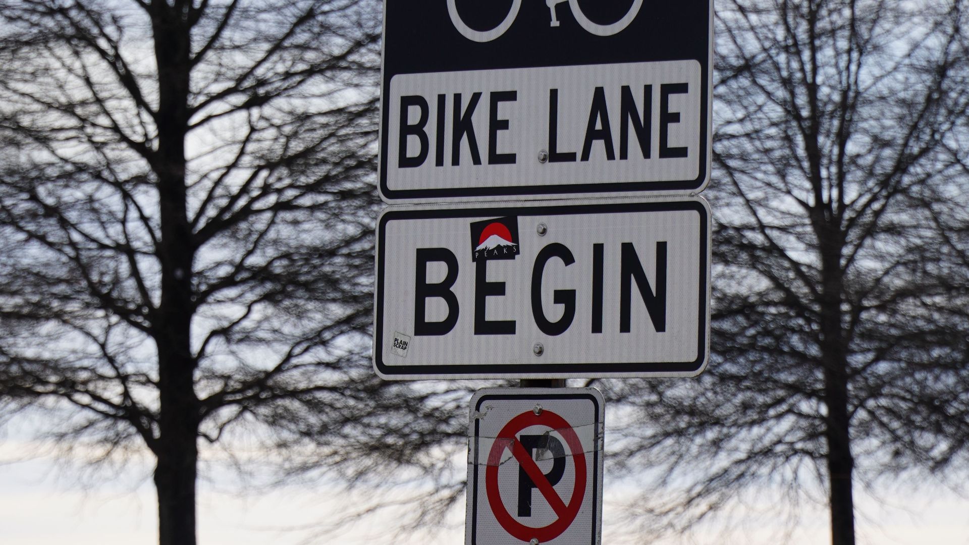 Bike lane sign on a winter road with bare trees and no parking sign.