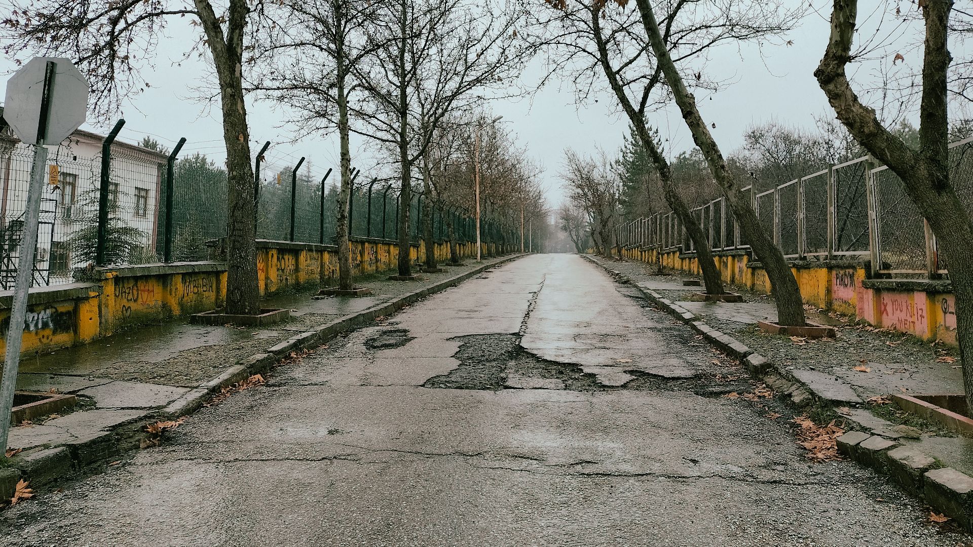 Deteriorated asphalt road in Elazığ, Türkiye, surrounded by winter trees and fencing.