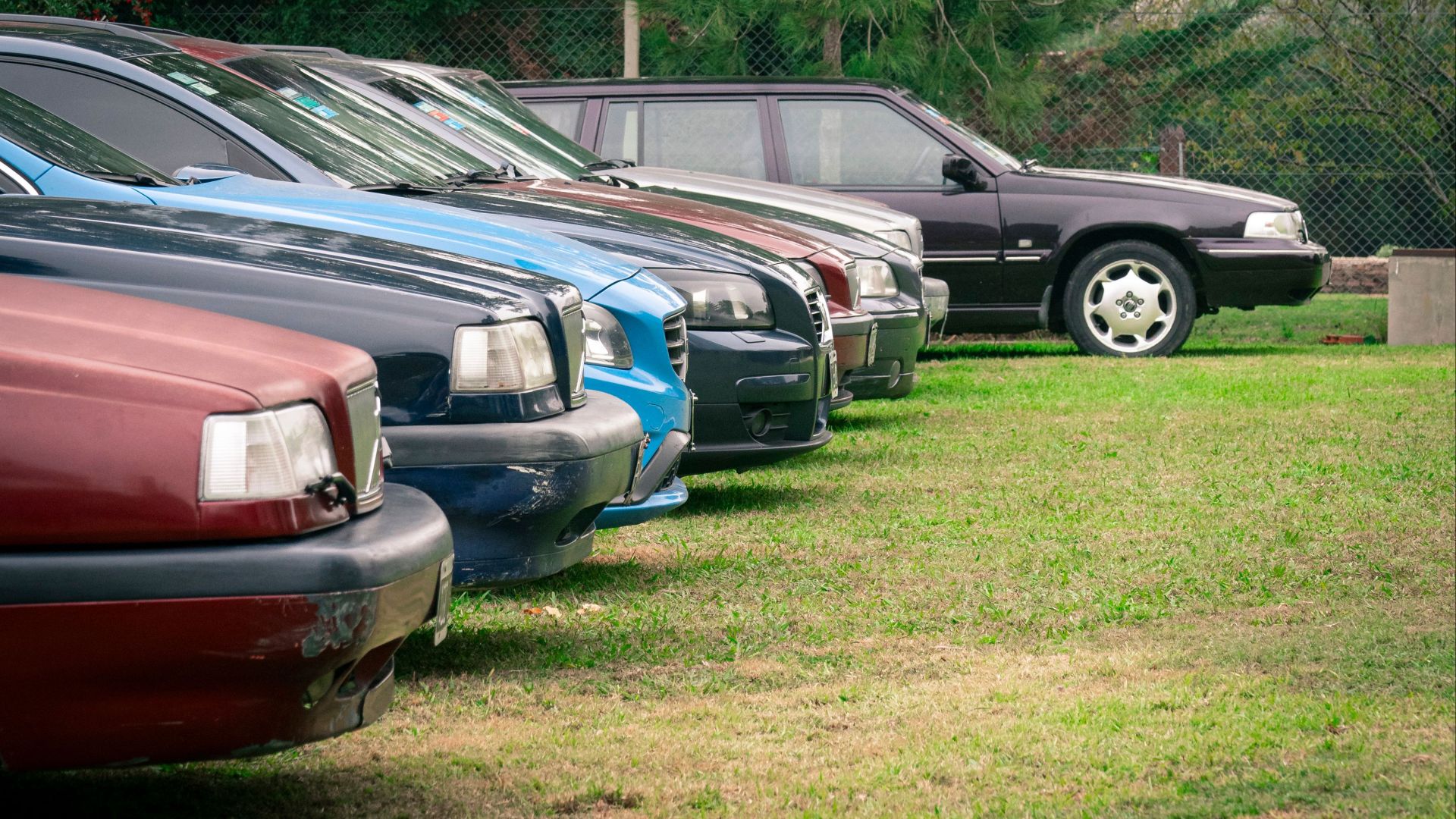 Several cars parked in a grassy field, showcasing a rural setting and diverse vehicle selection.