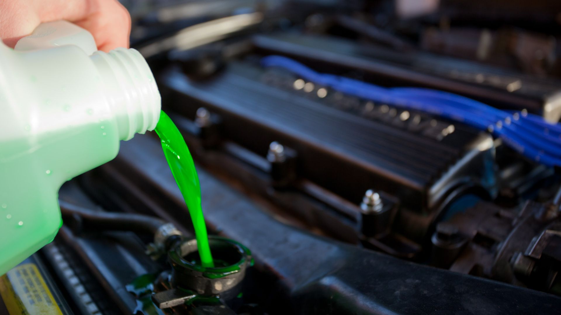 Engine coolant being poured into the radiator of a car. Taken in Melbourne, Victoria in July 2009