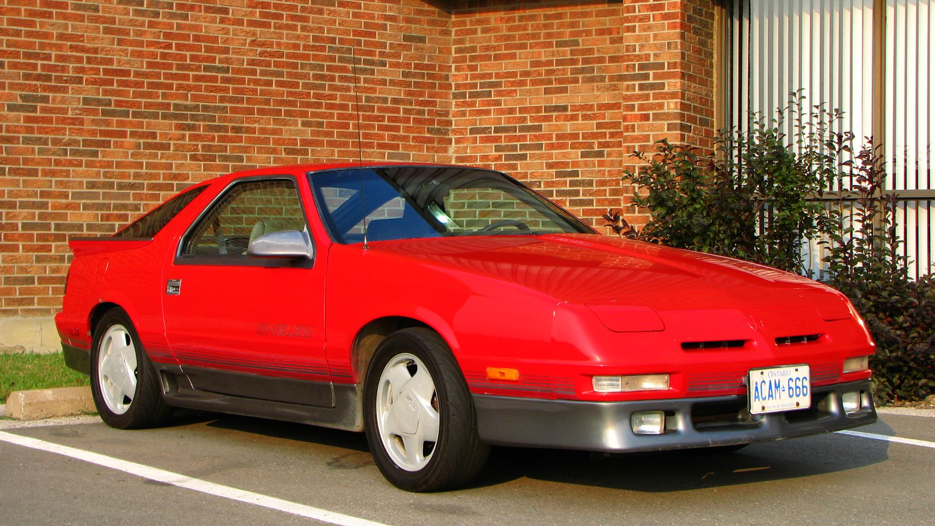 Dodge Daytona Shelby Z