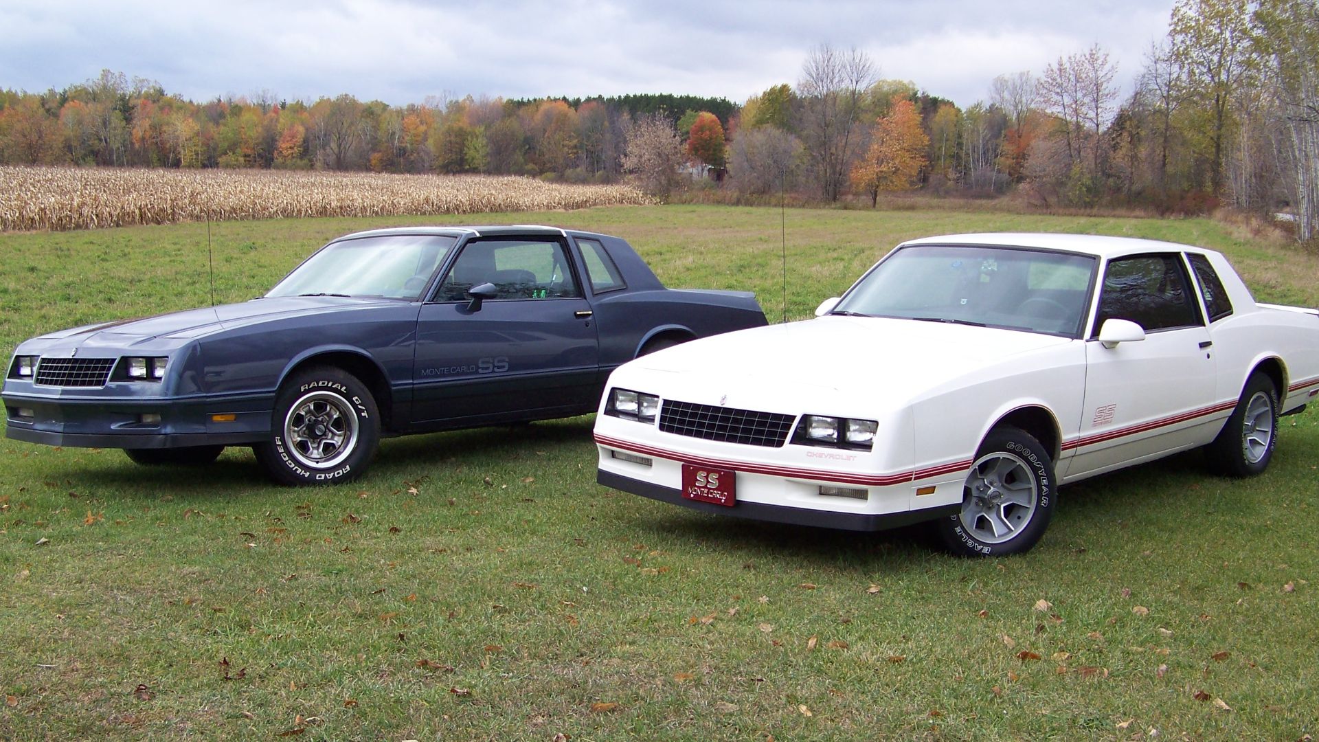 84 87 SS Monte Carlo