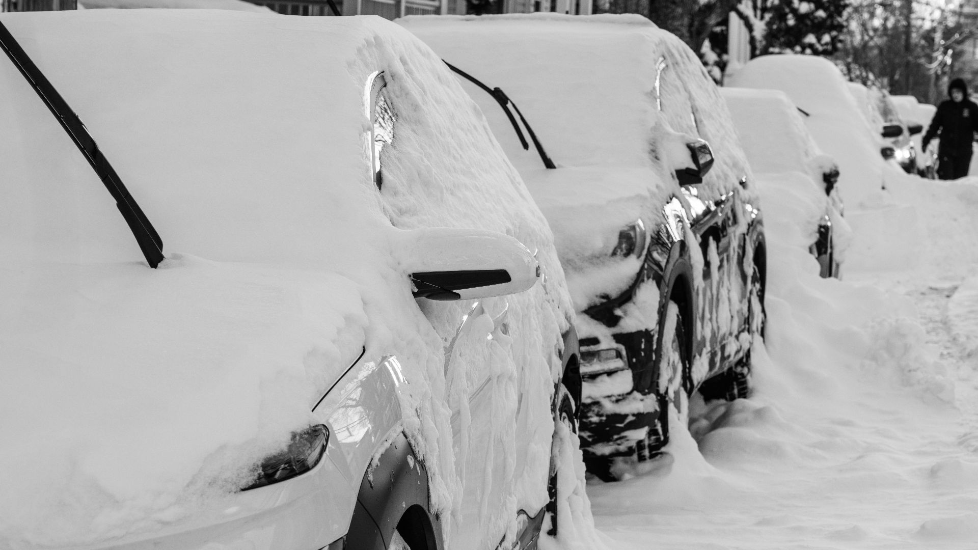 Line of cars buried under snow in Somerville, MA after a heavy winter storm.
