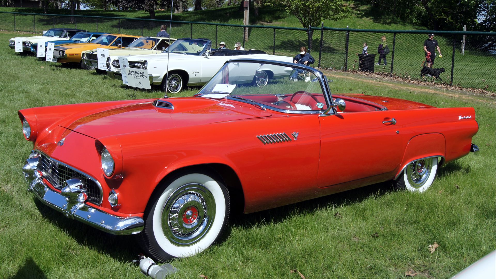 55 Ford Thunderbird