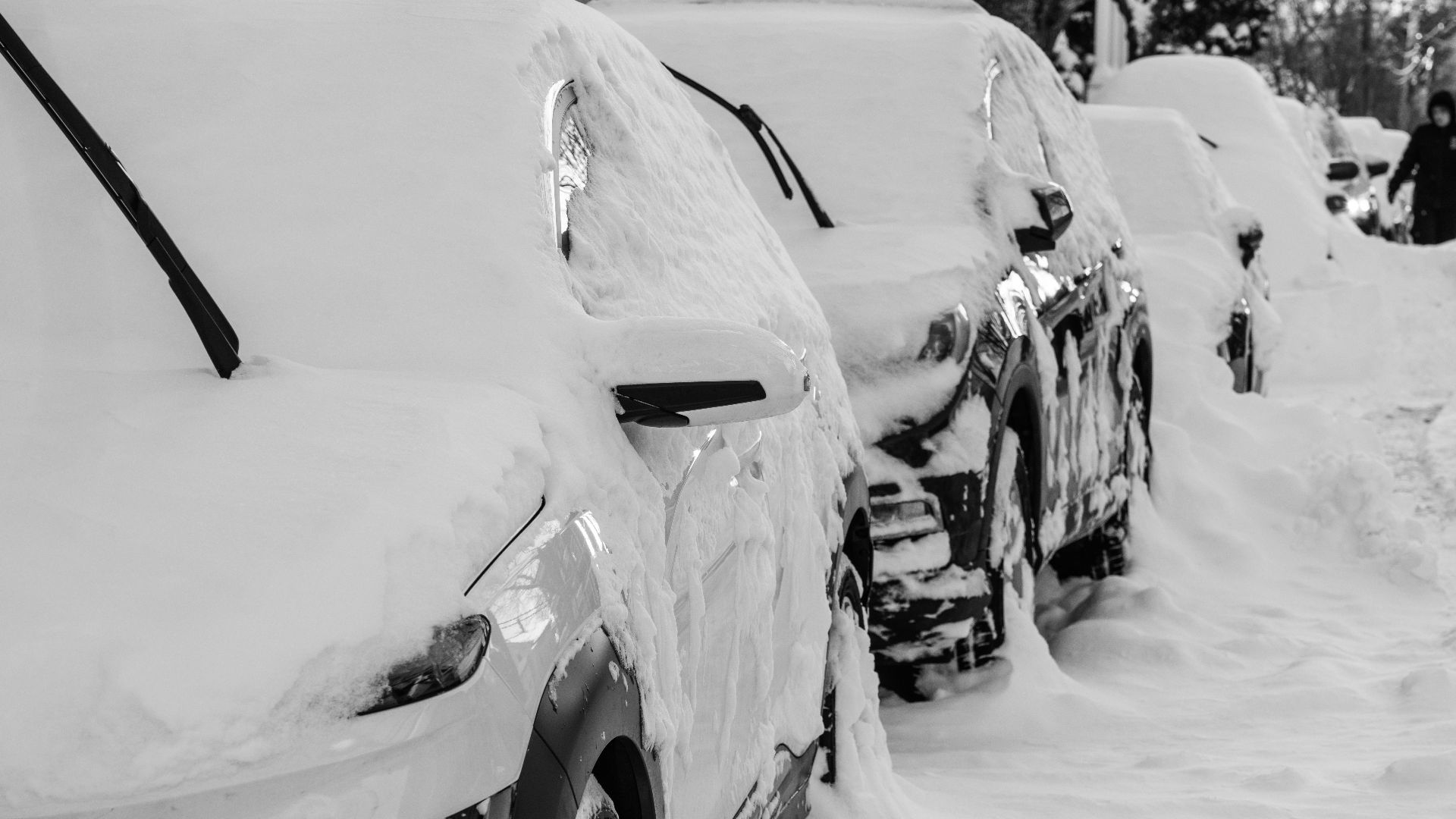 Line of cars buried under snow in Somerville, MA after a heavy winter storm.