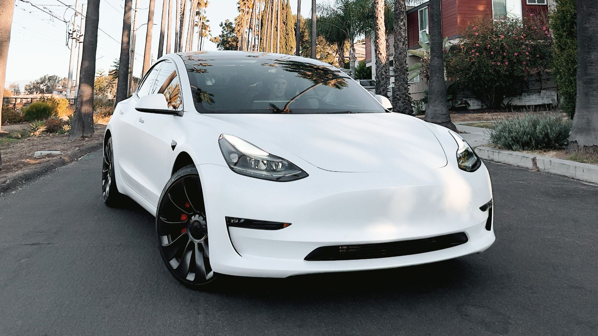 A sleek white Tesla Model Y parked on a palm-lined street capturing modern design.