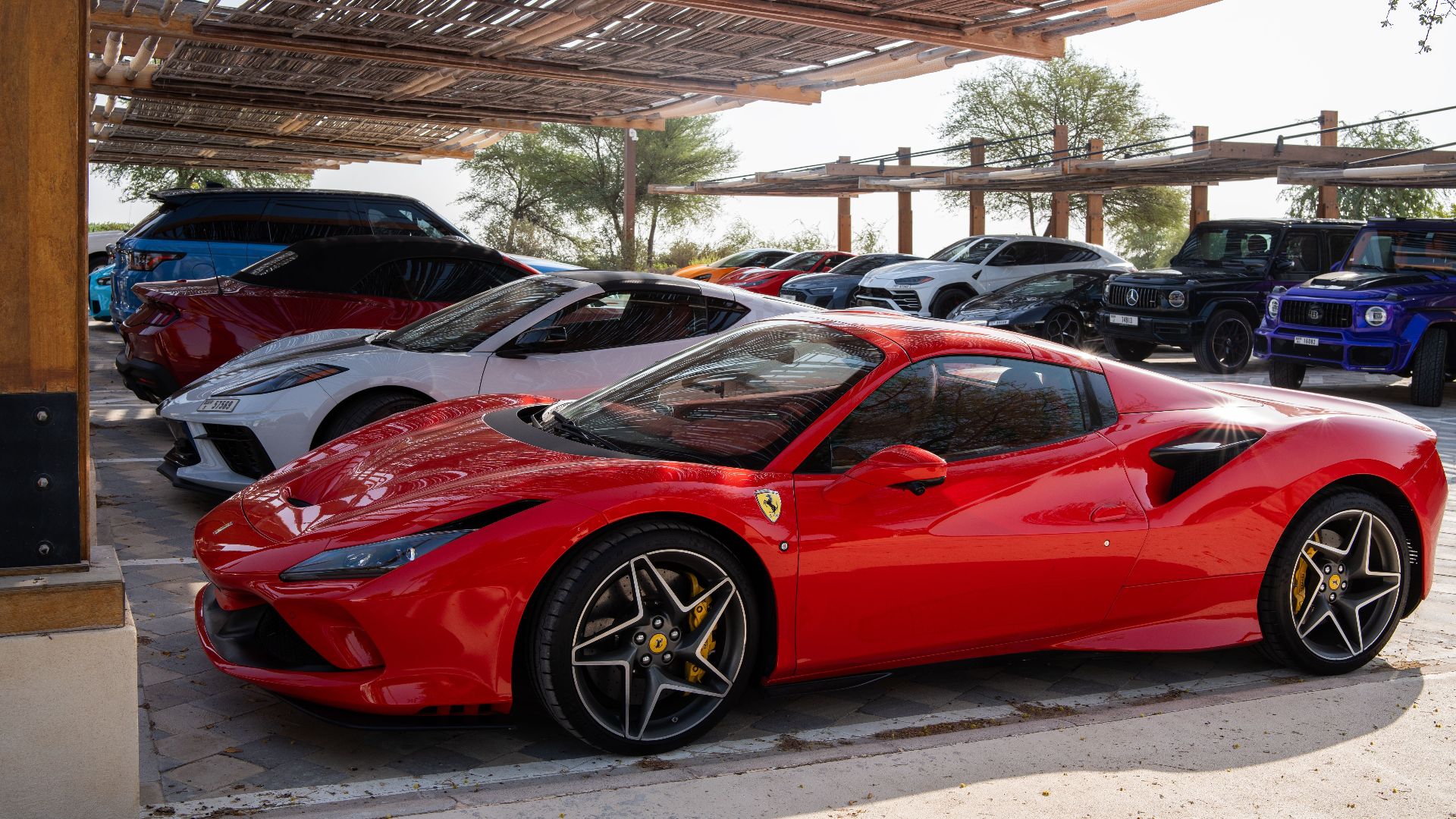 Collection of high-end sports cars parked under a bamboo-covered shelter on a sunny day.