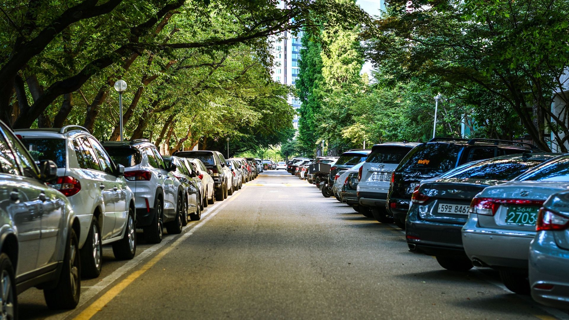 Tree-lined street with parked cars and towering buildings in the background.