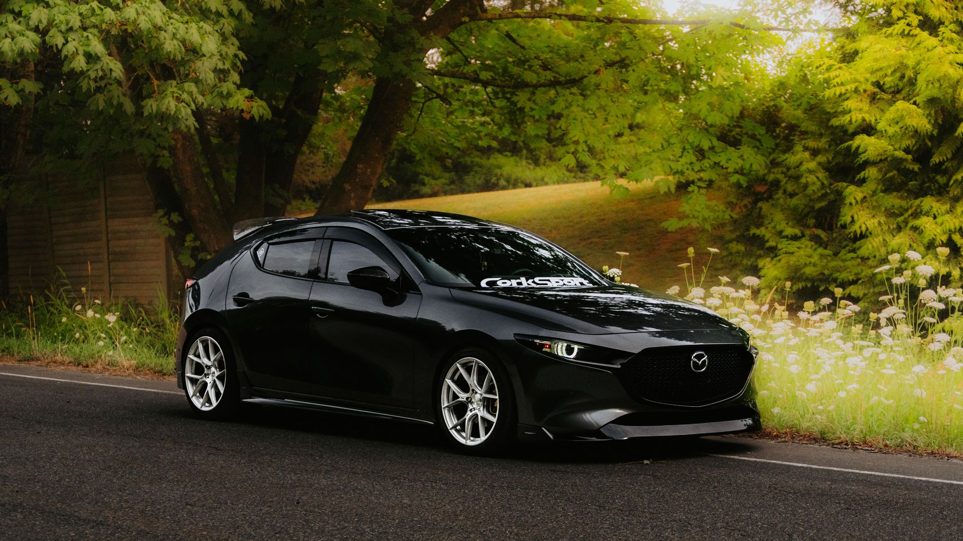 Elegant black car along a tree-lined country road, showcasing modern automotive design.