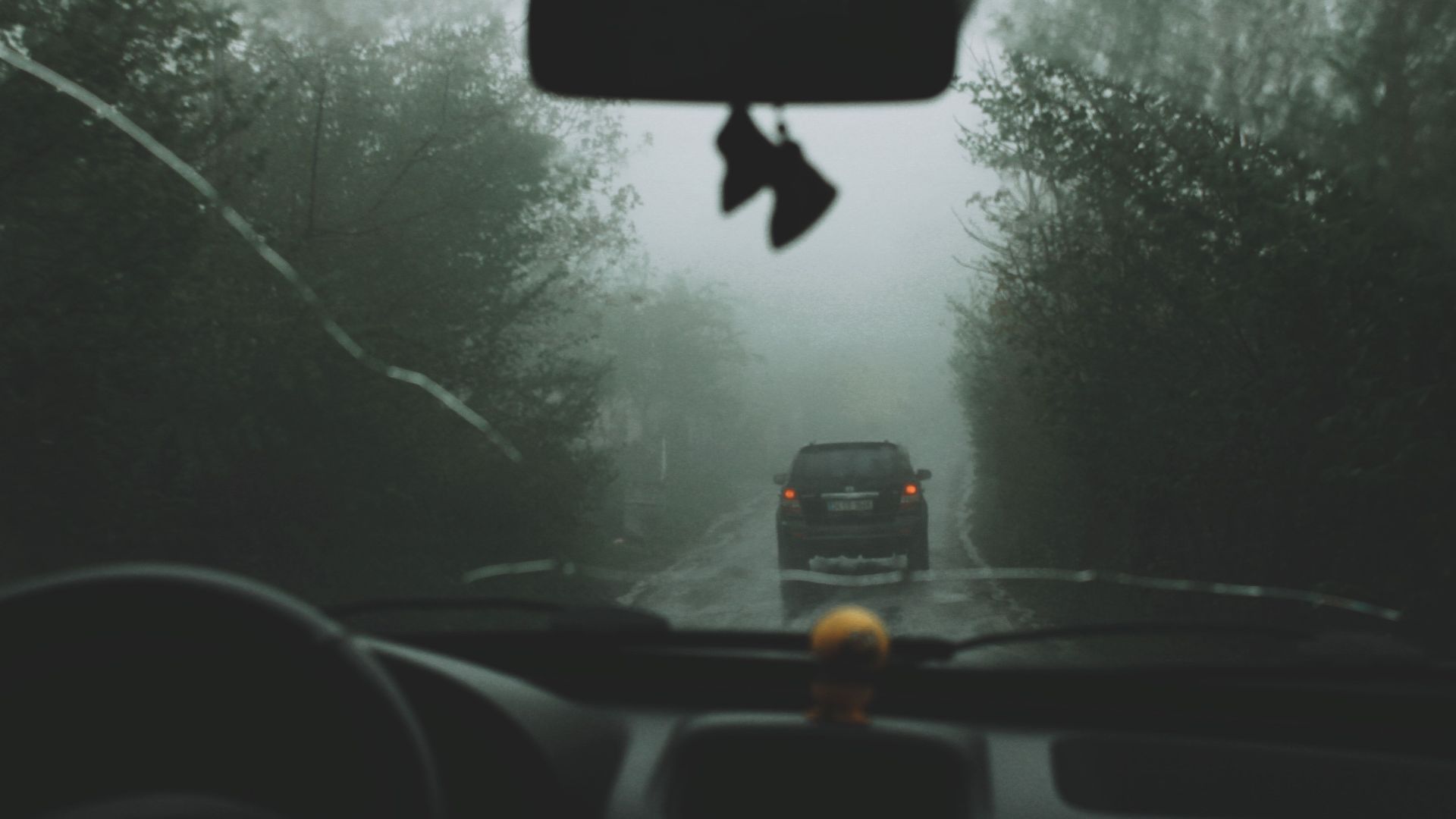 Gloomy car ride in dense fog, capturing mysterious road atmosphere.