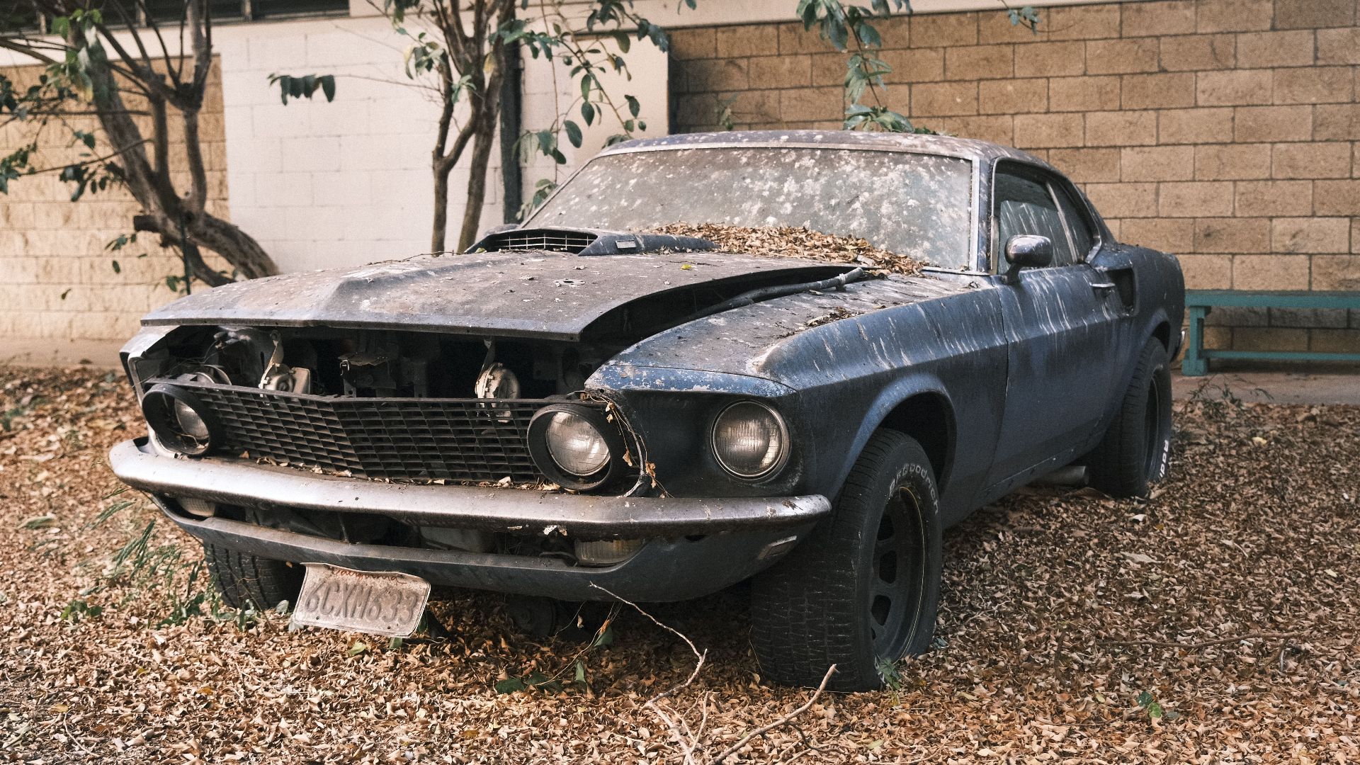 A vintage muscle car sits rusting, surrounded by fallen leaves, embodying urban decay.