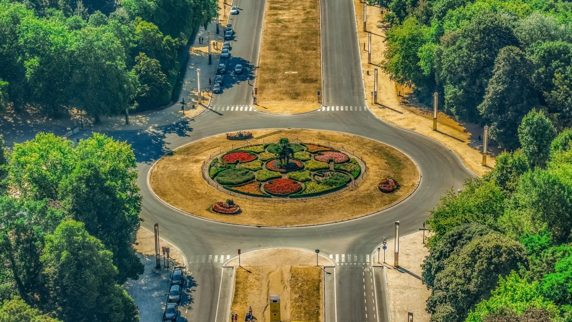 dimitrisvetsikas1969