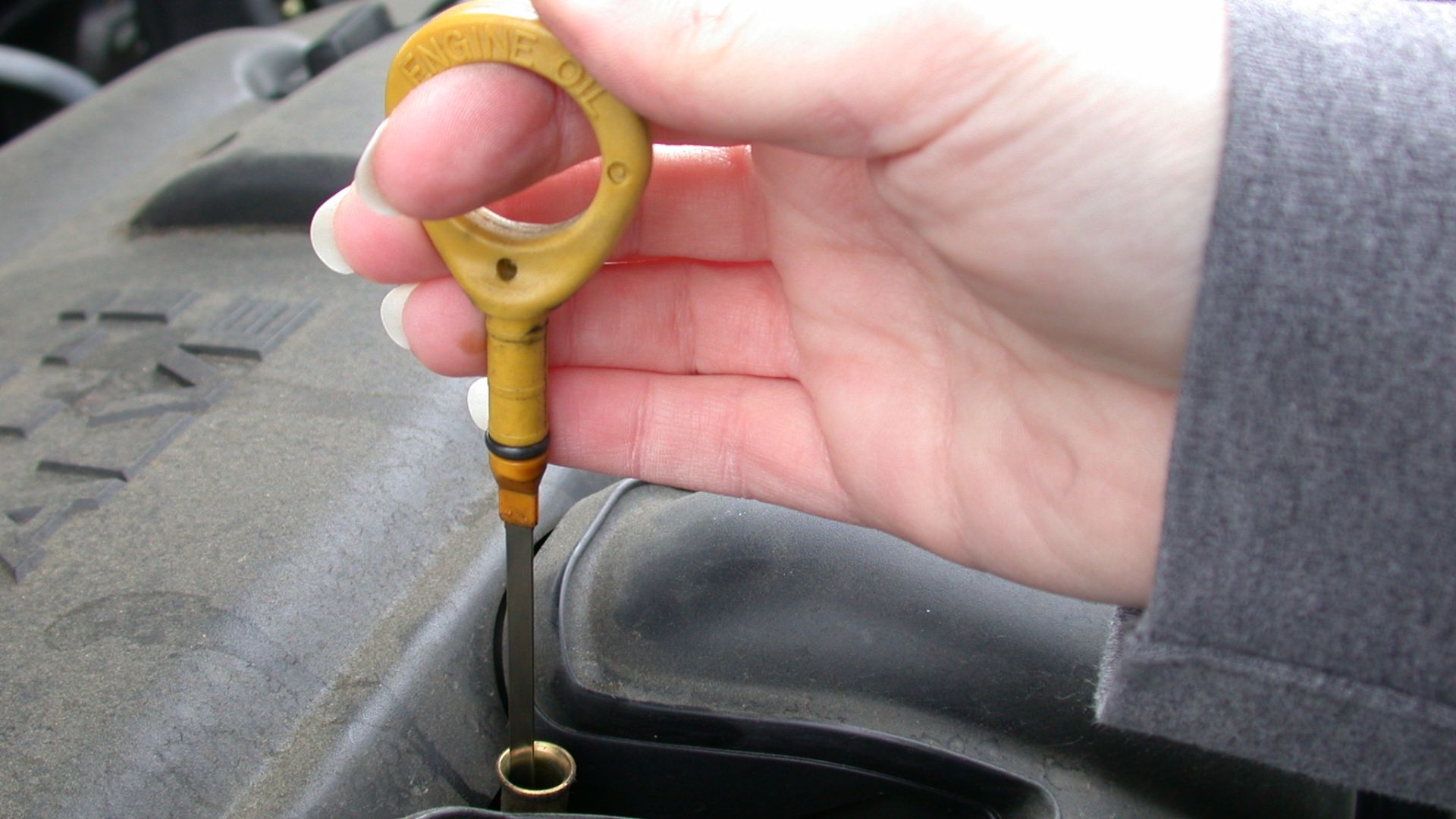 Dipstick for measuring the level of motor oil in an automobile.