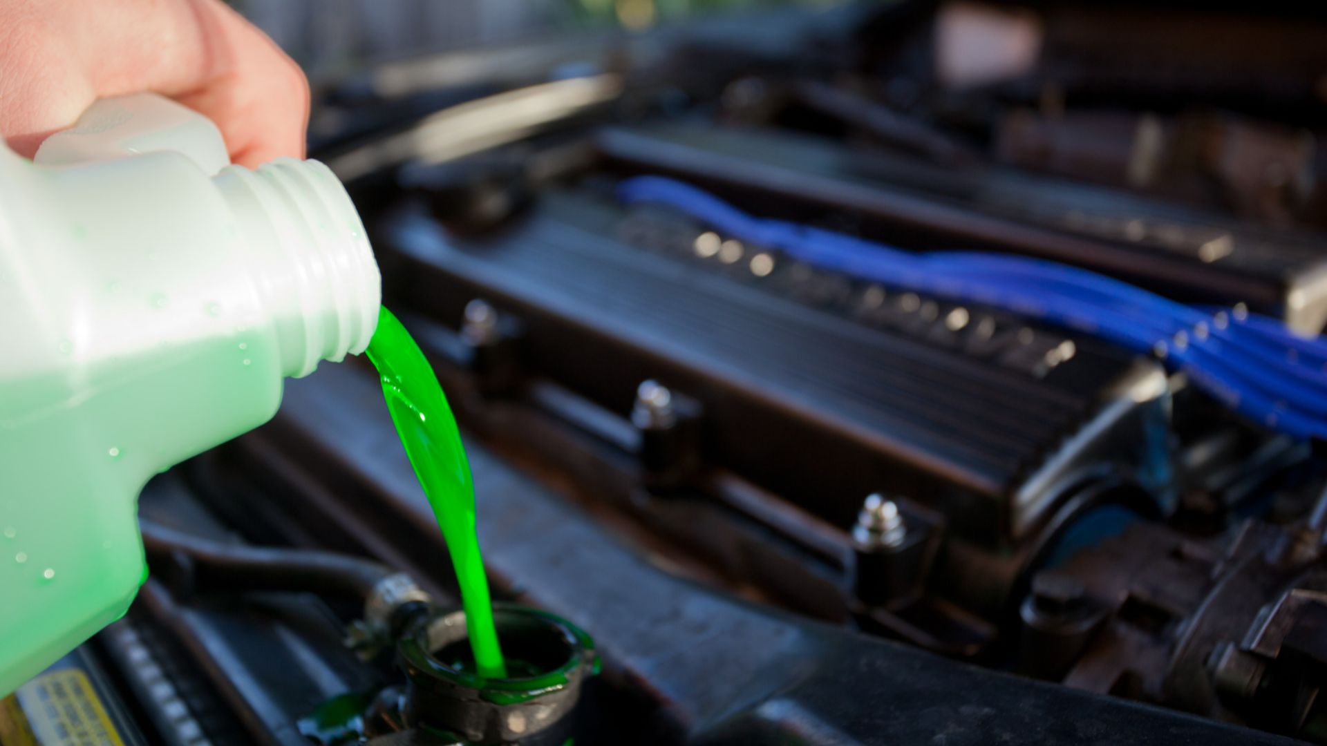 Engine coolant being poured into the radiator of a car. Taken in Melbourne, Victoria in July 2009