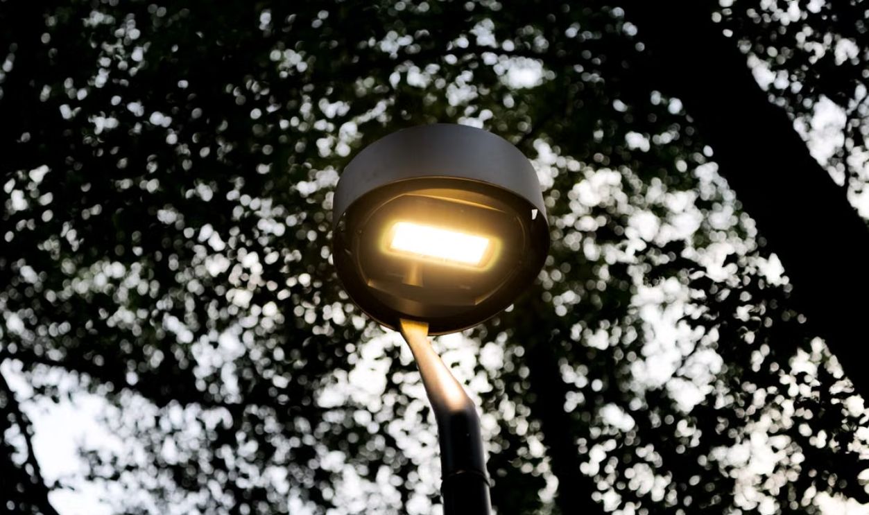 Street lamp glowing against a tree canopy in Velika, Croatia, at twilight