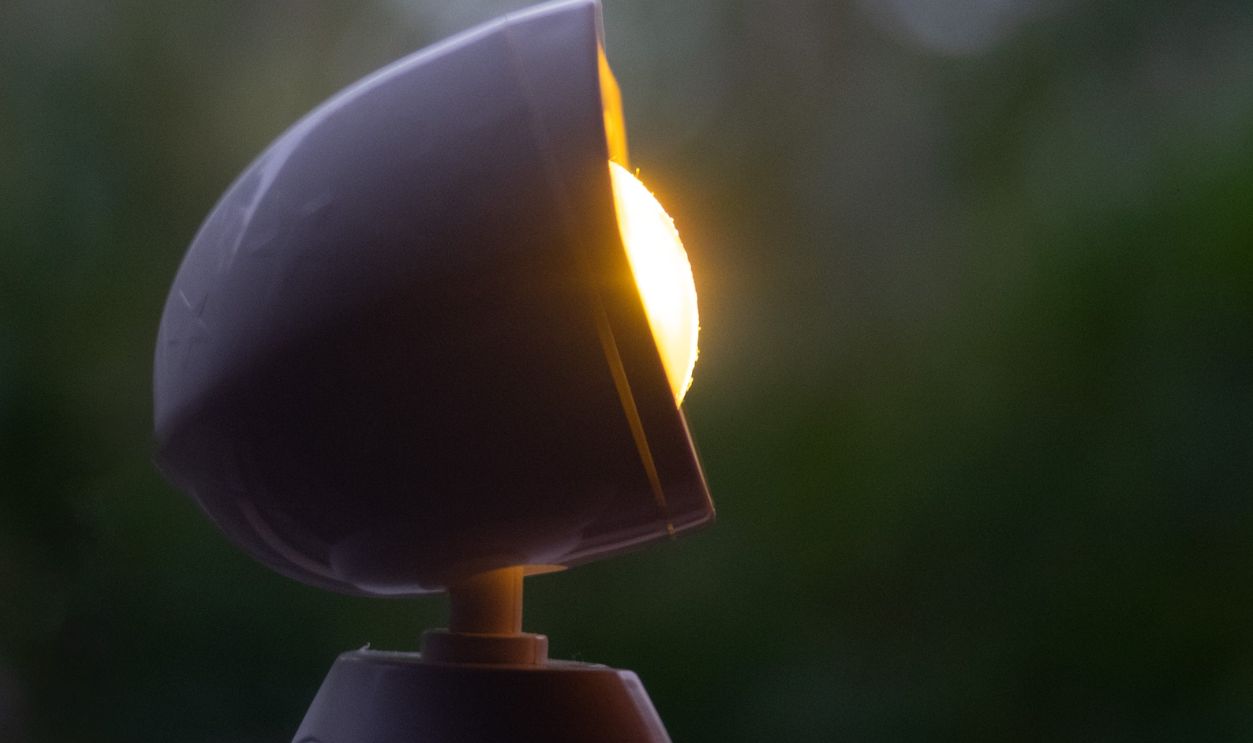 A modern outdoor lamp glowing softly amid blurred, lush green foliage