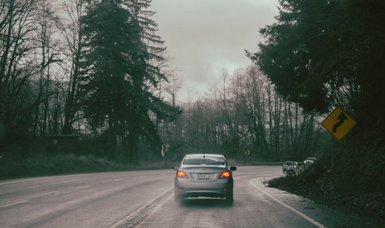 Car driving on a wet road through trees