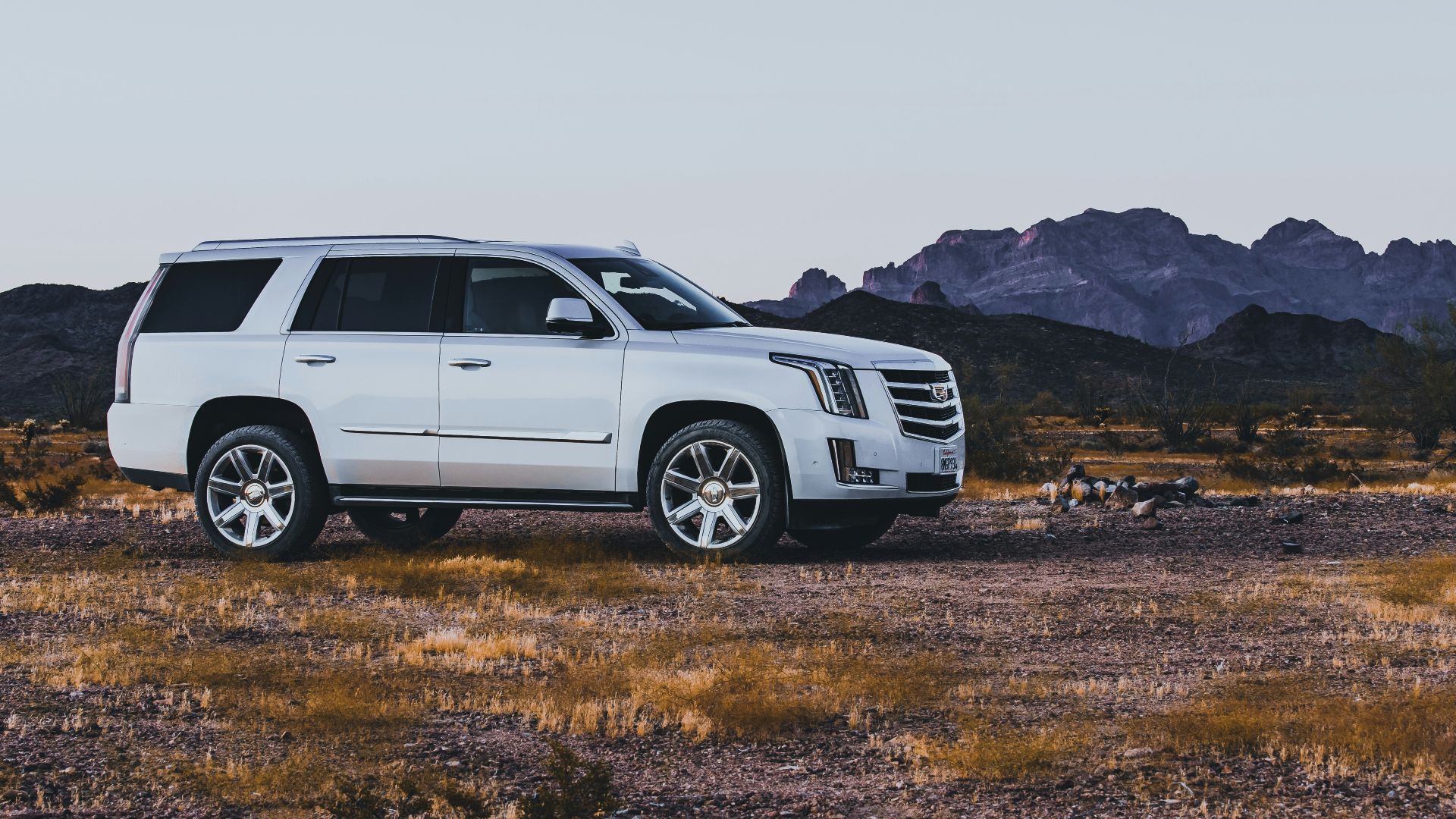 white suv on brown field during daytime