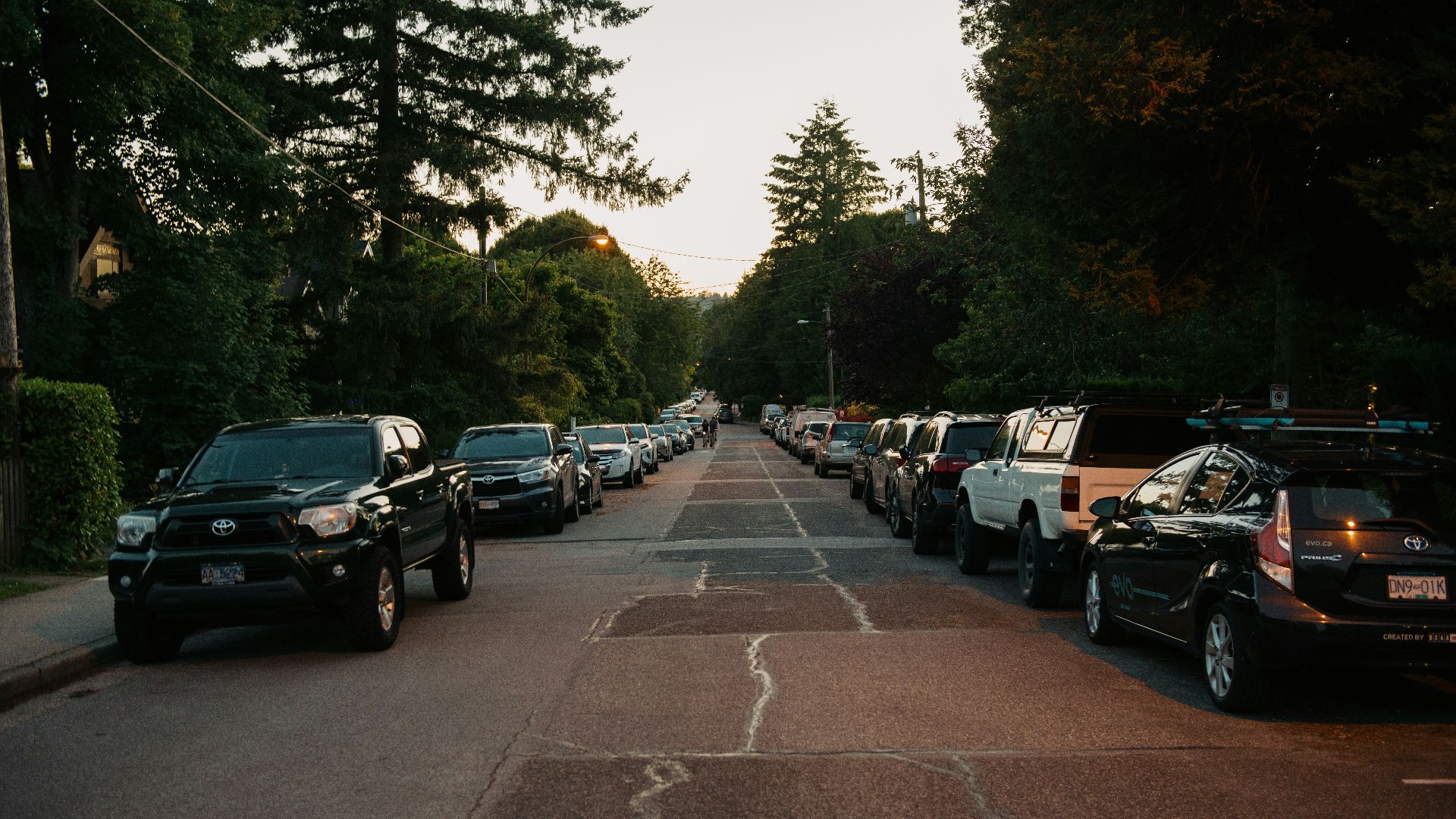 A street lined with parked cars and trees