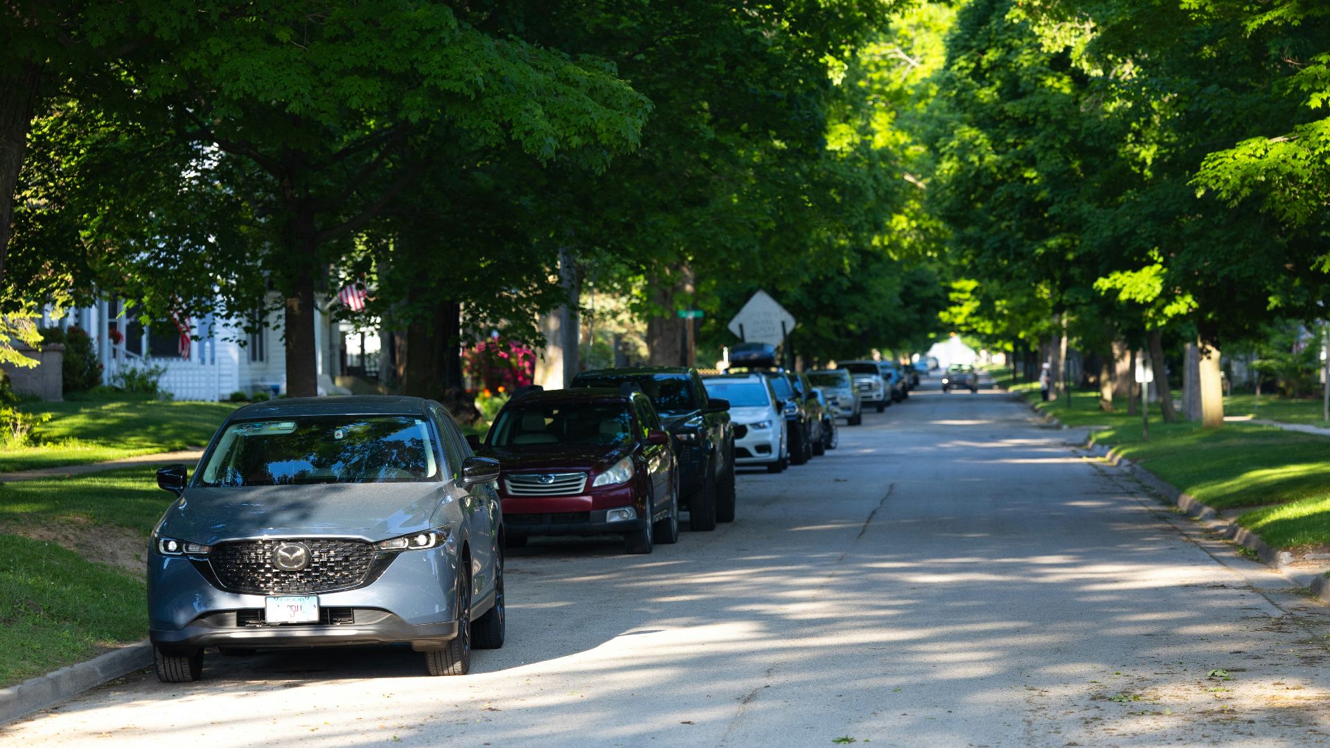 Residential street with parked cars and lush green trees.