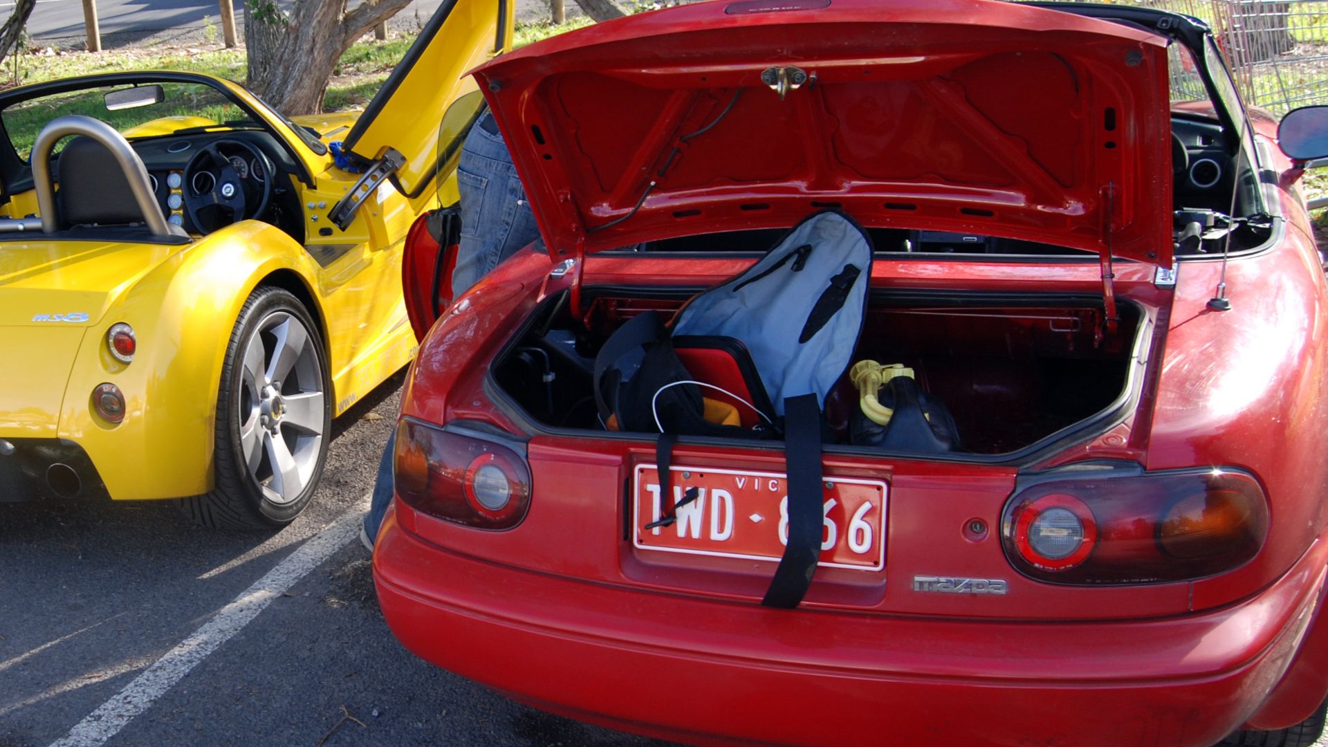 Healesville