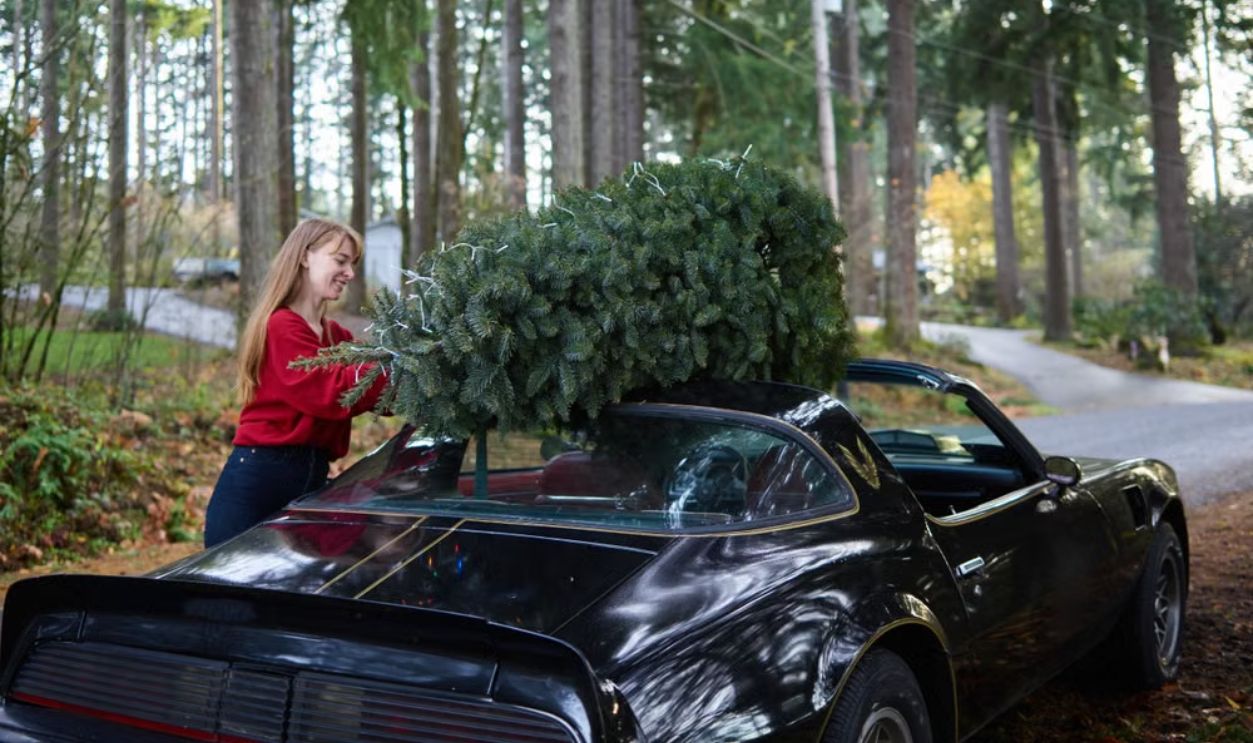 Woman securing Christmas tree on convertible car in forest setting, preparing for holiday season