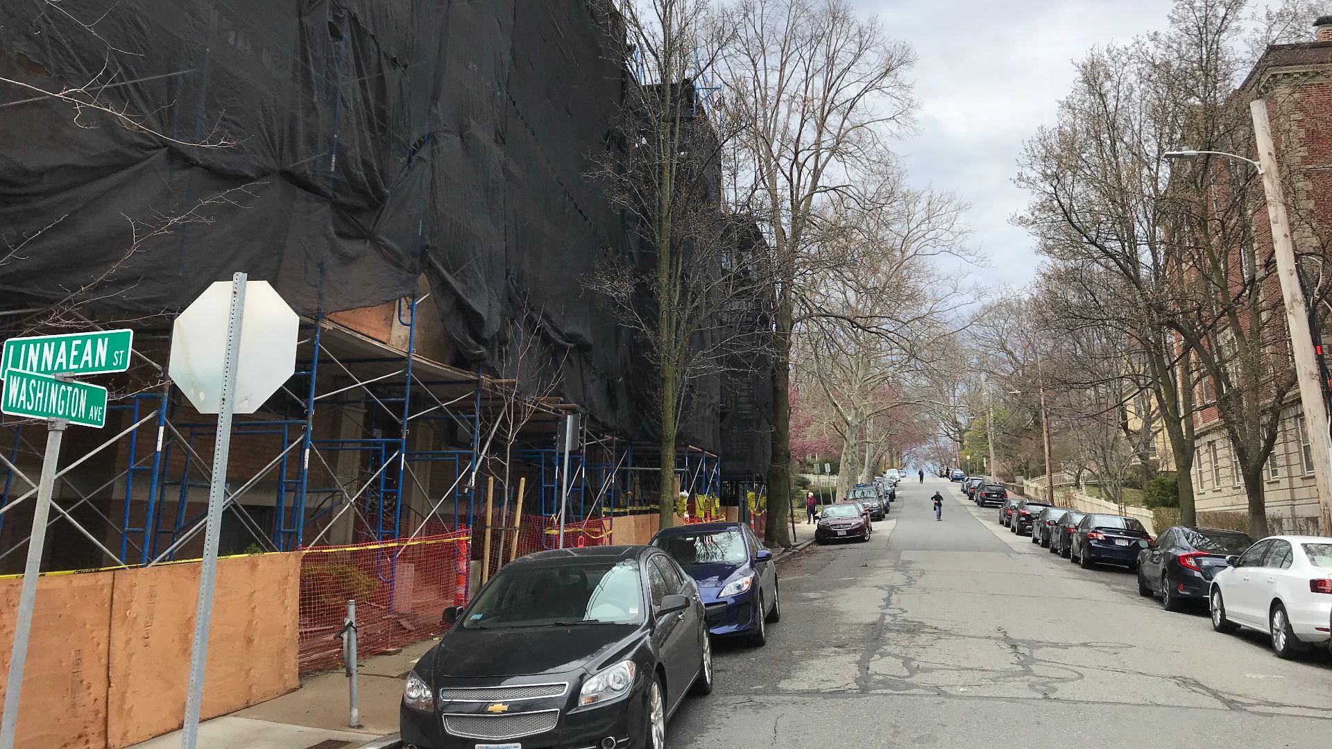 Street in Cambridge, Massachusetts, United States