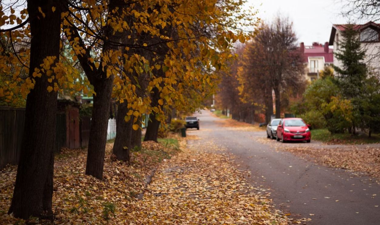 /road-in-the-estate-