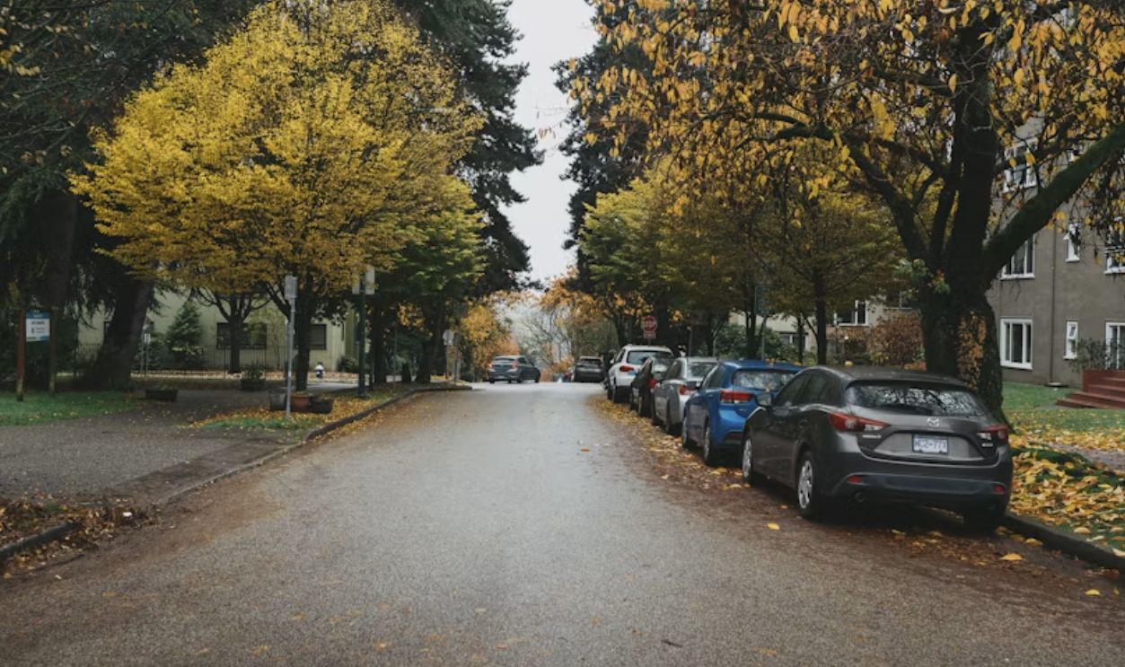 street-lined-with-autumn-trees-and-parked-cars