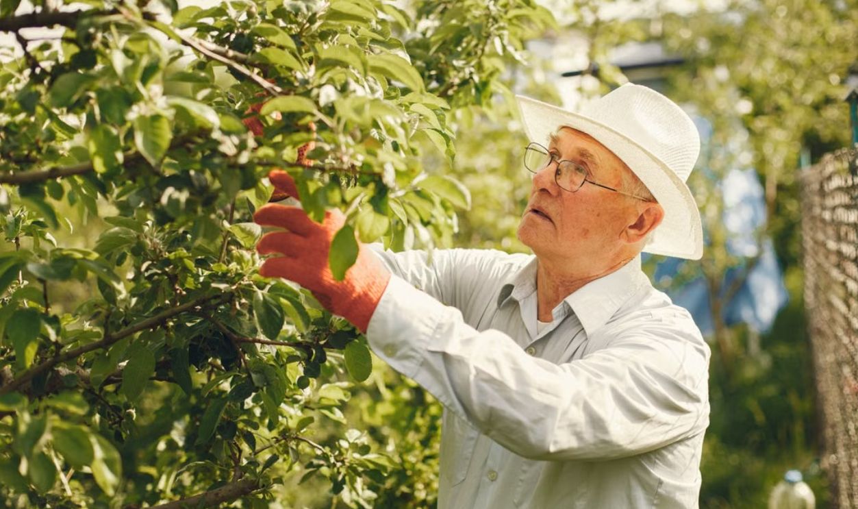 man-looking-at-tree-branch