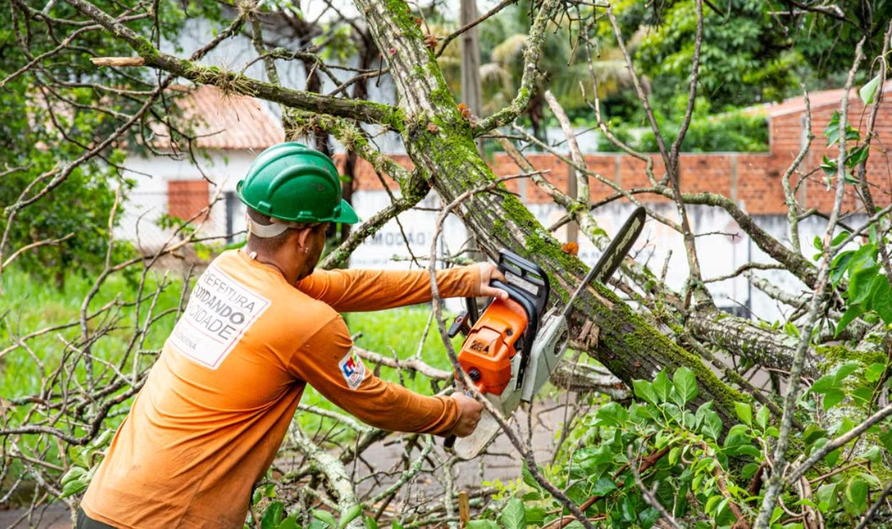 tree-maintenance-worker-using-chainsaw-in-londrina