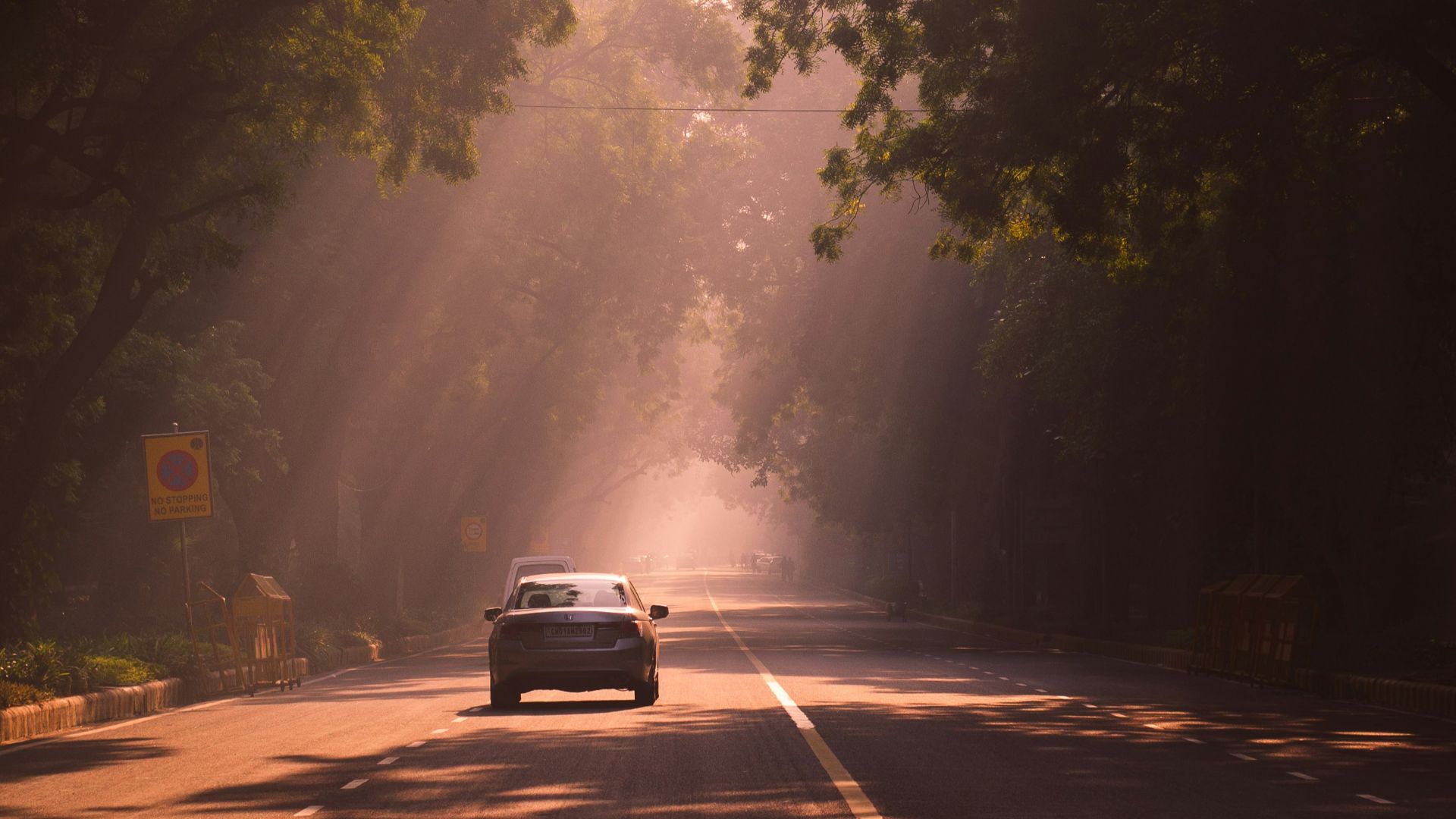 Car driving on a tree-lined road at sunrise
