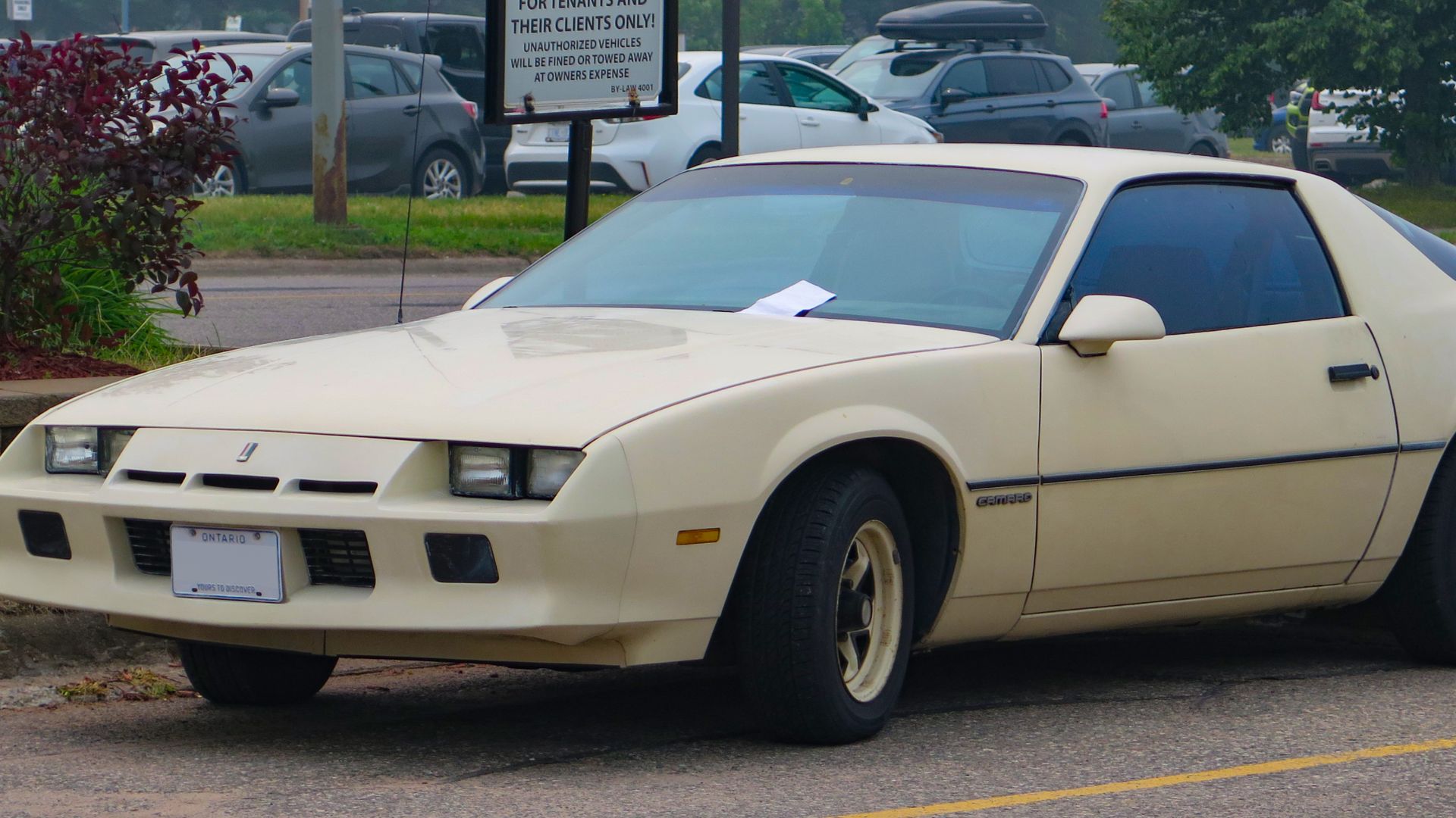 1984 Chevrolet Camaro Sport Coupe photographed in Sault Ste. Marie, Ontario, Canada.