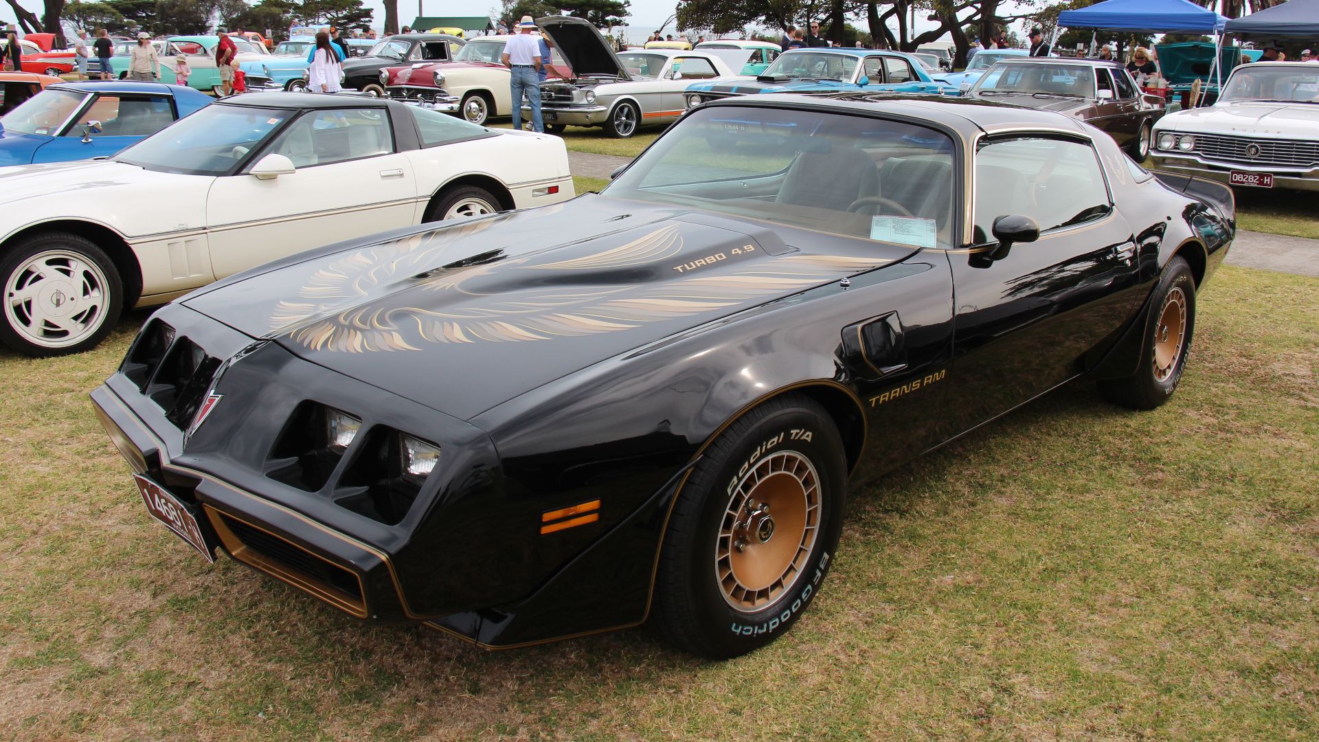 This 2nd generation Firebird was updated in 1977 with a slant nose using 4 rectangular headlights and then refreshed again in 1979.
From 1980, the famous 400 cu in V8 was not available any more.1980 The new 301, first offered in 1979, was now the standar