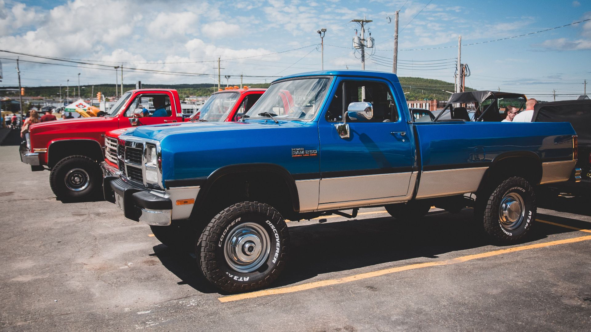 Vintage pickup trucks showcased outdoors on a sunny day.
