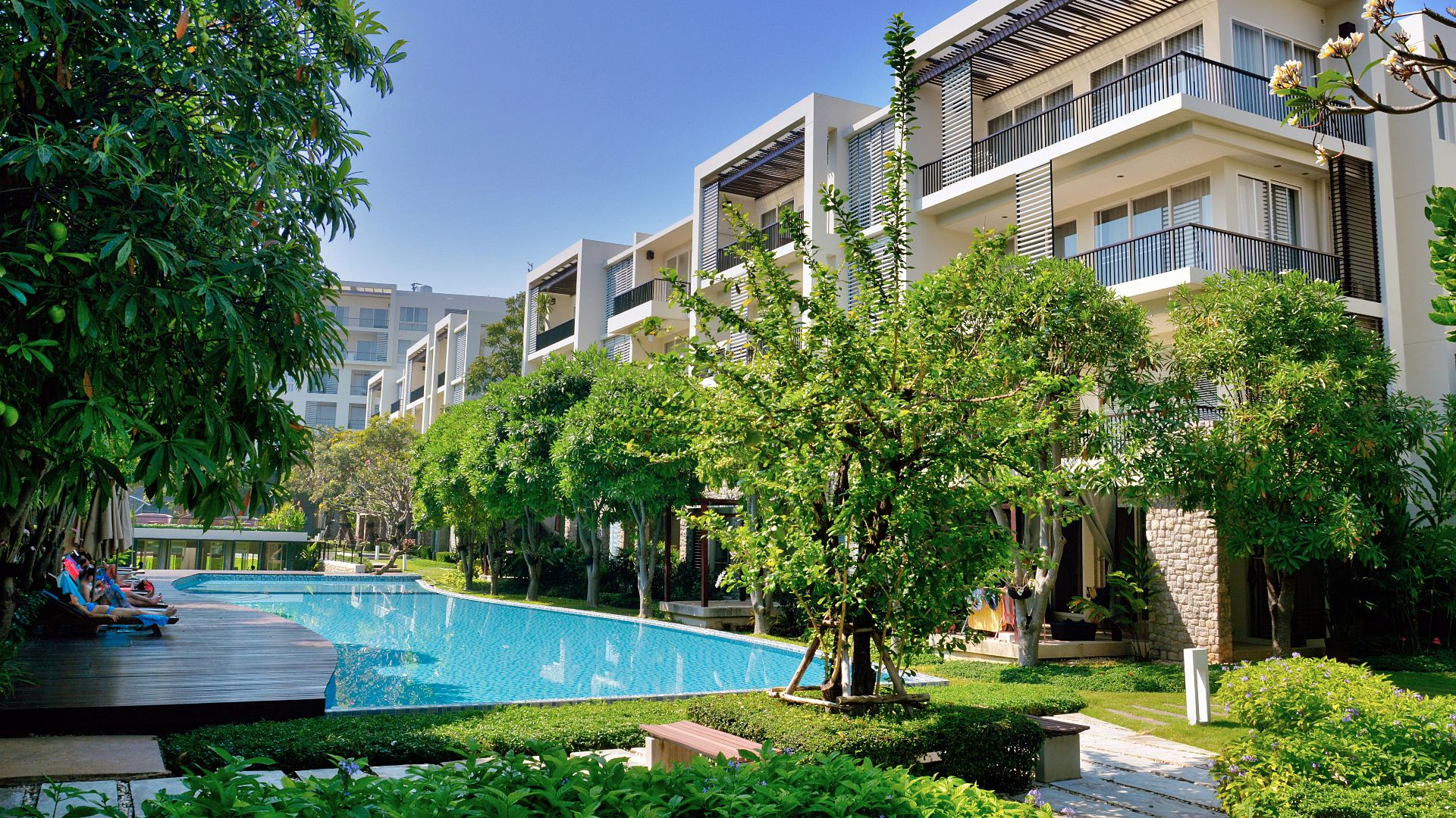 green trees near swimming pool during daytime