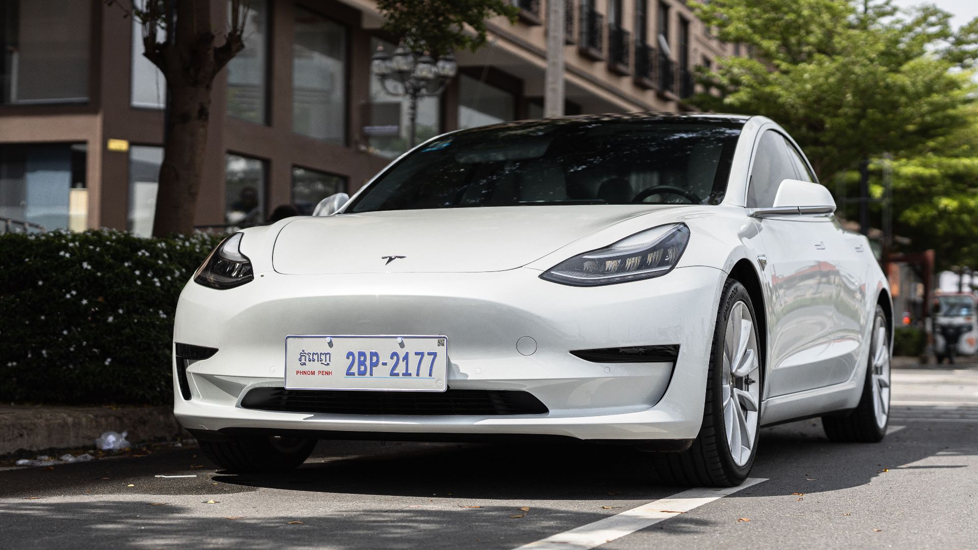 A sleek white Tesla Model 3 parked on a city street under trees, showcasing modern automotive design.