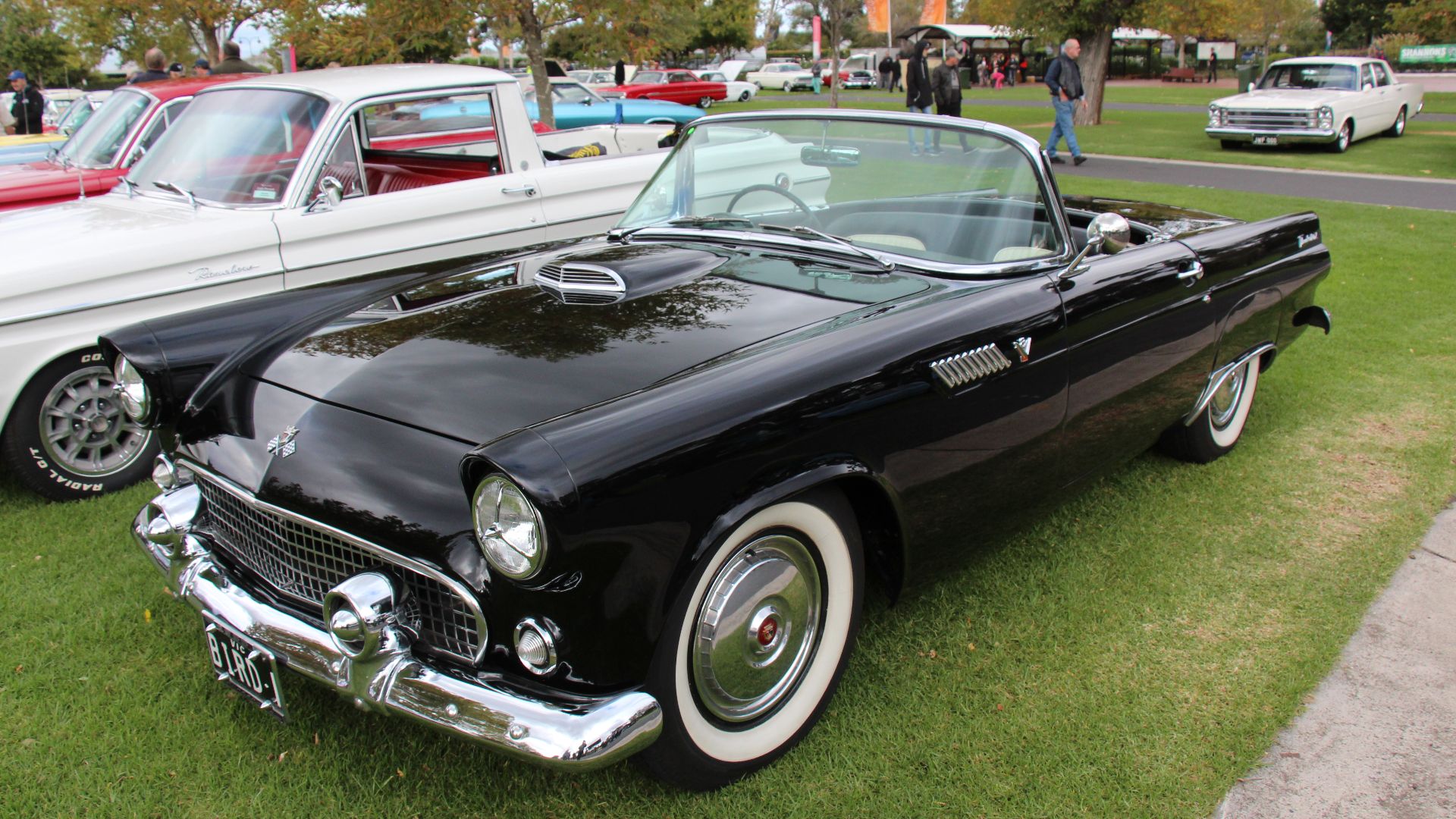 Black.
The first generation Thunderbird, the little birds, were built from 1955 to 1957. Ford did not consider the Thunderbird a sports car, but rather, a 'personal luxury vehicle, by putting greater emphasis on the comfort and convenience of the car des