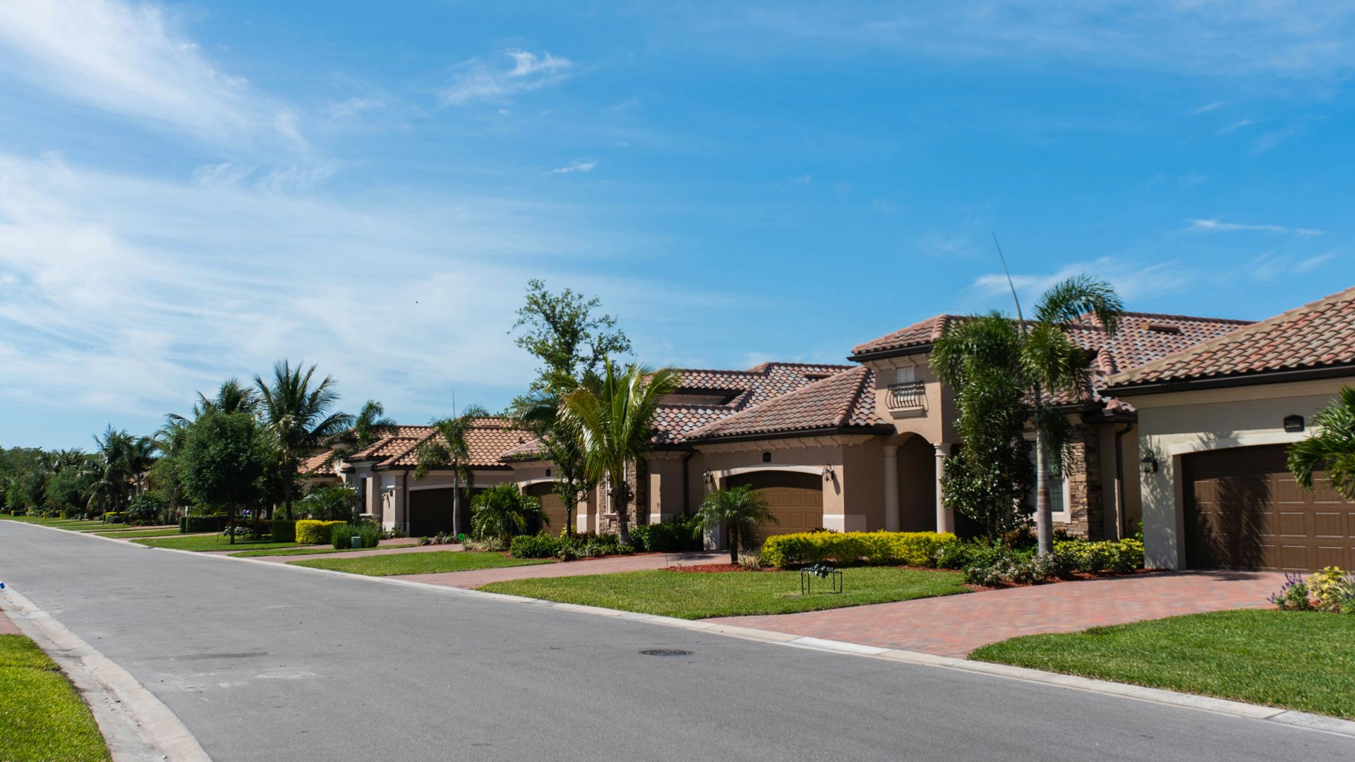 A quiet suburban street lined with houses, palm trees, and manicured lawns