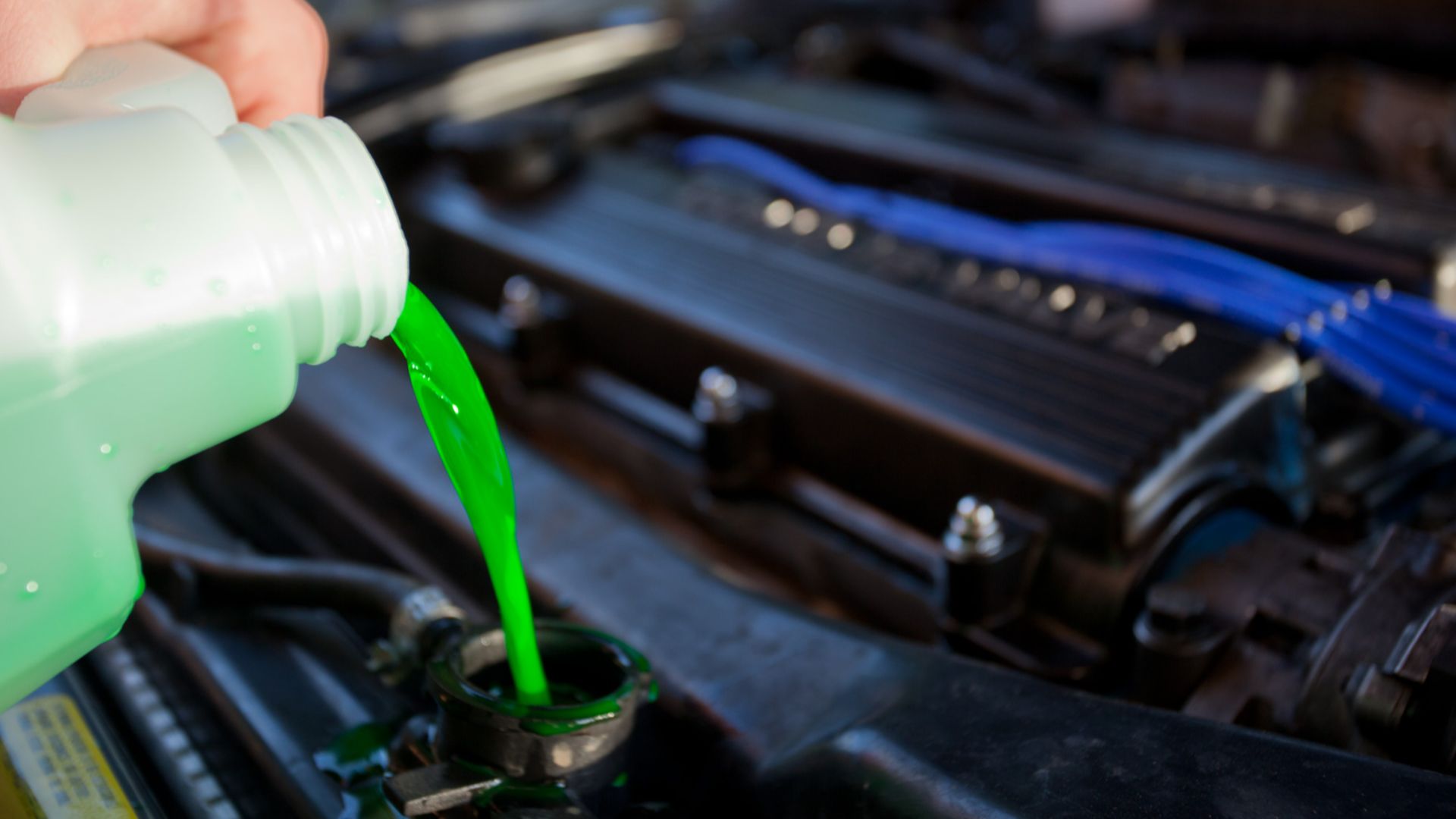 Engine coolant being poured into the radiator of a car. Taken in Melbourne, Victoria in July 2009