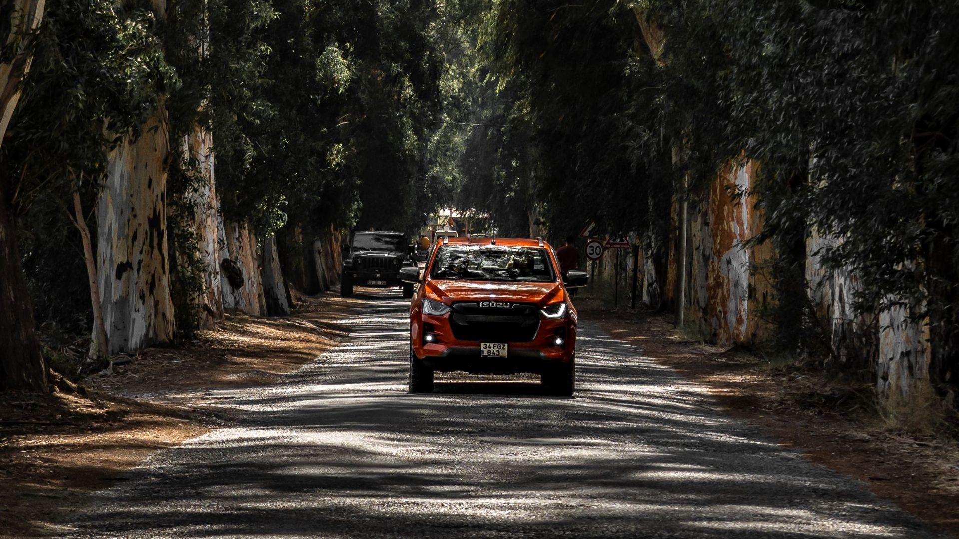 A red SUV navigating a scenic forest road lined with tall trees in a rural setting.