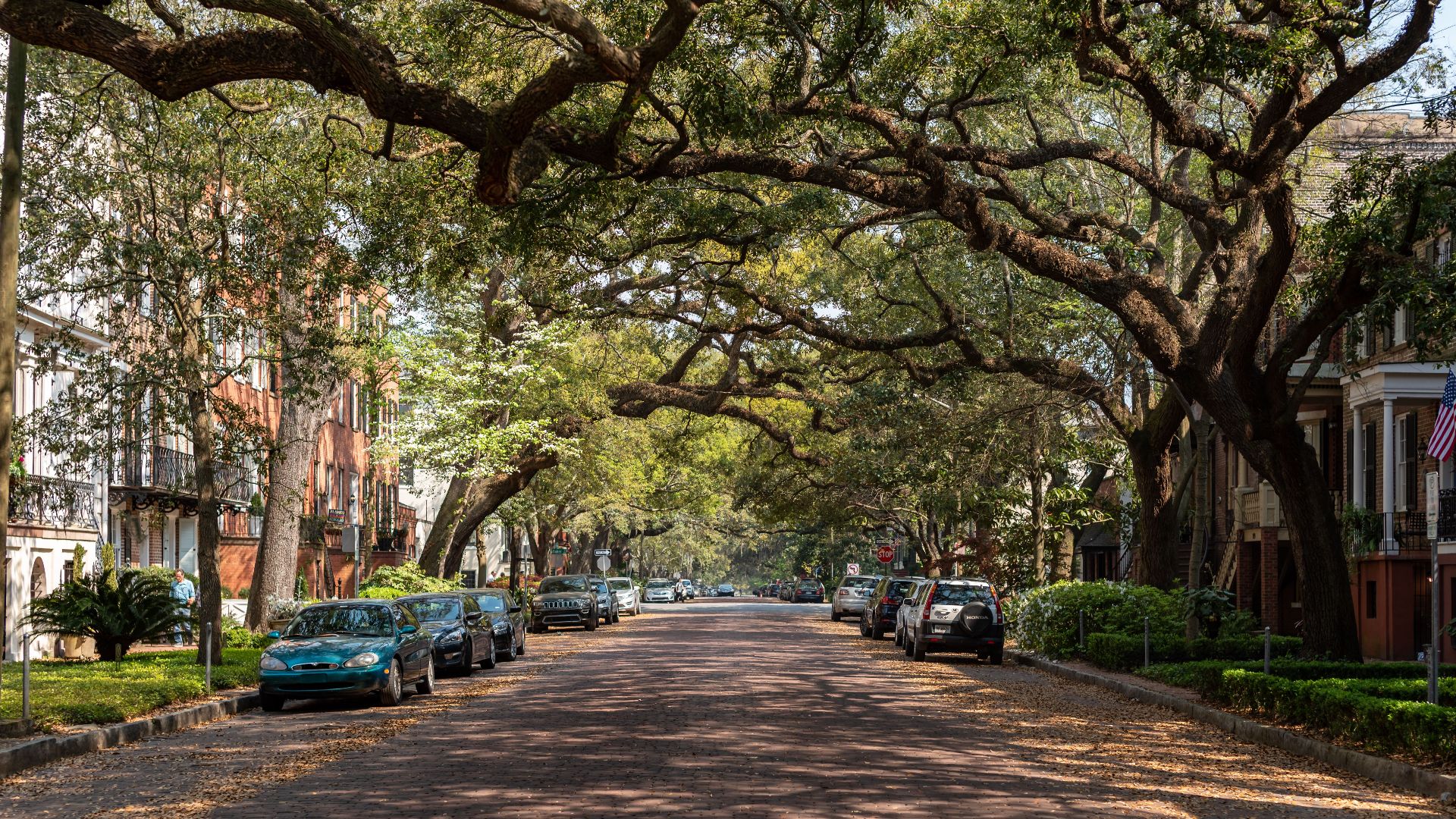 A picturesque view of a historic street lined with oak trees and classic architecture in Savannah, Georgia.