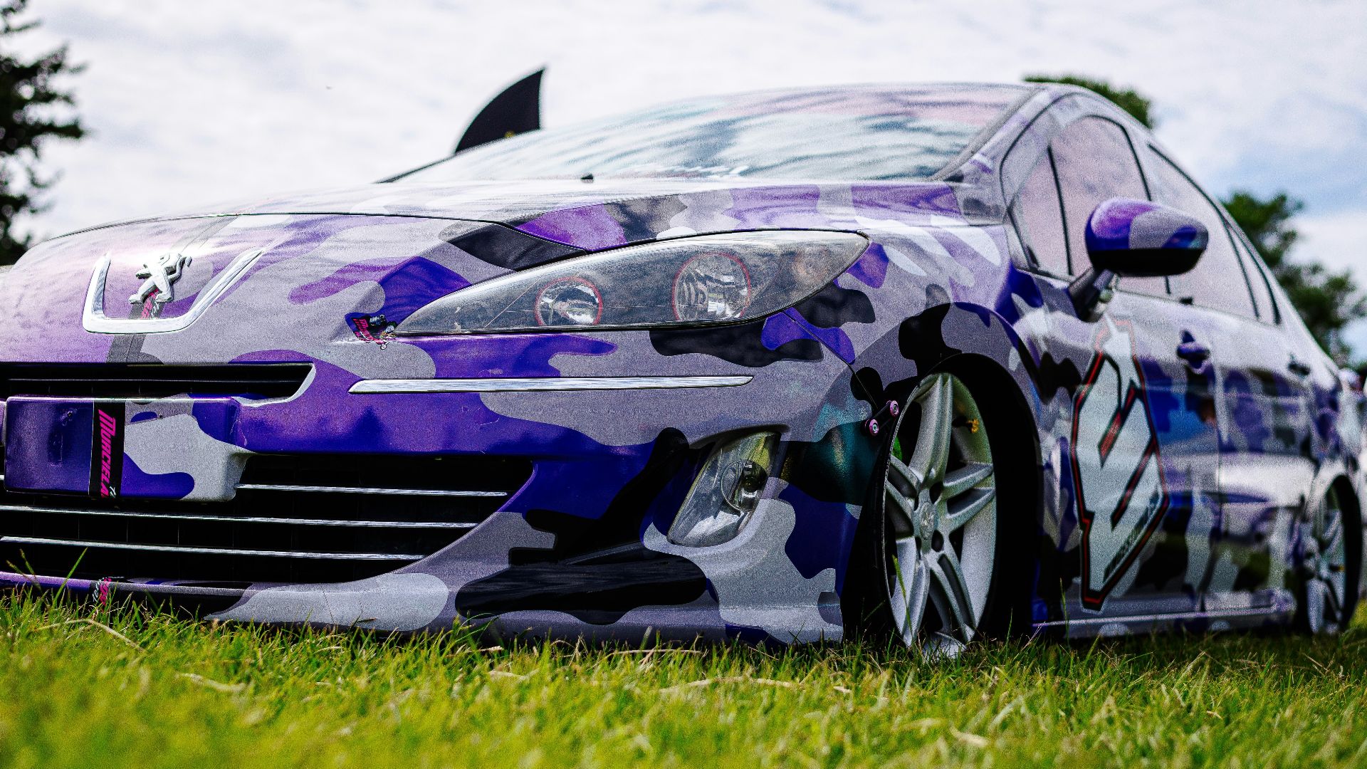 A purple camouflage car is shown in the grass