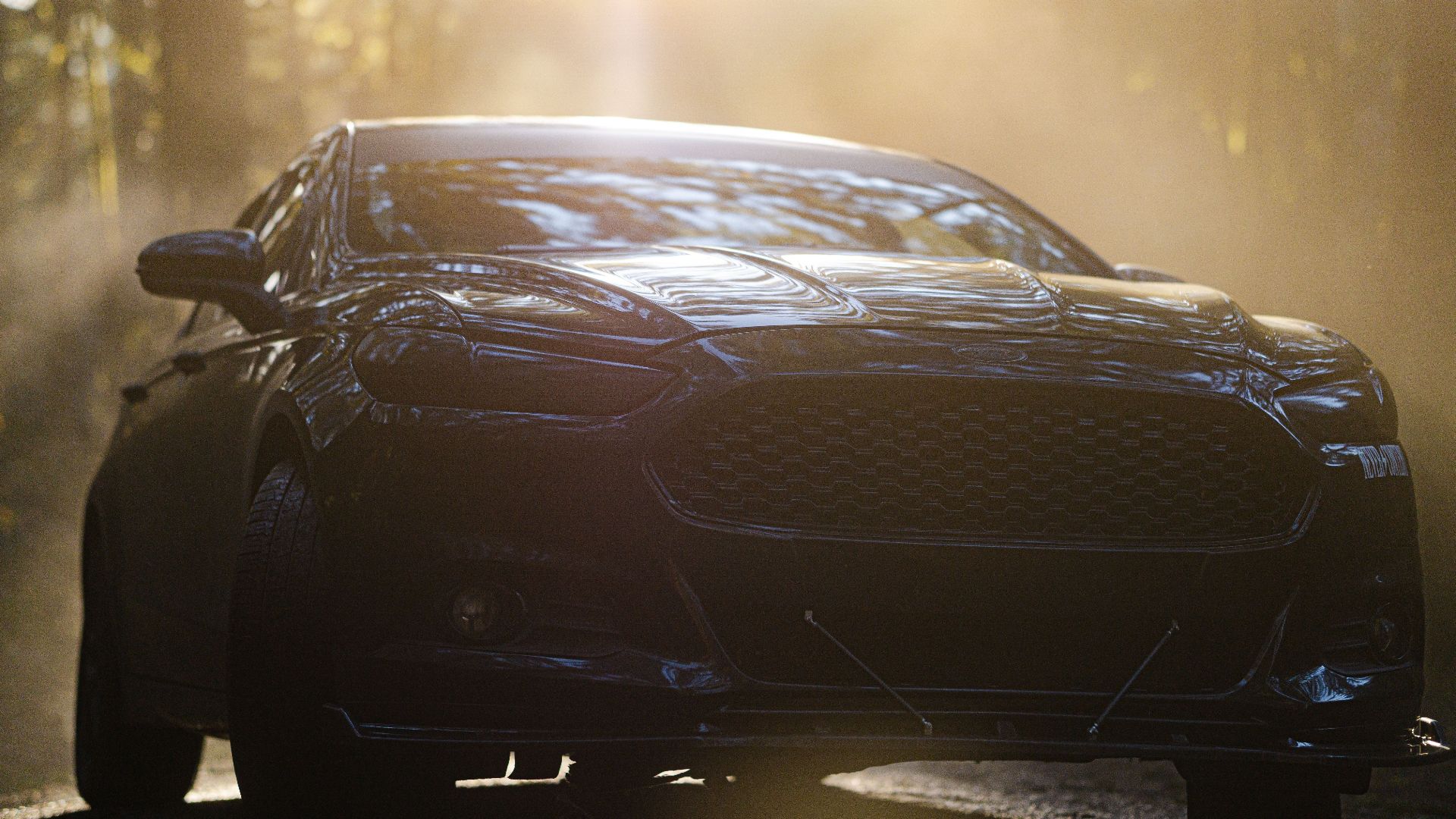 A black car captured with sunlight streaming through a forest, enhancing its grille and hood.