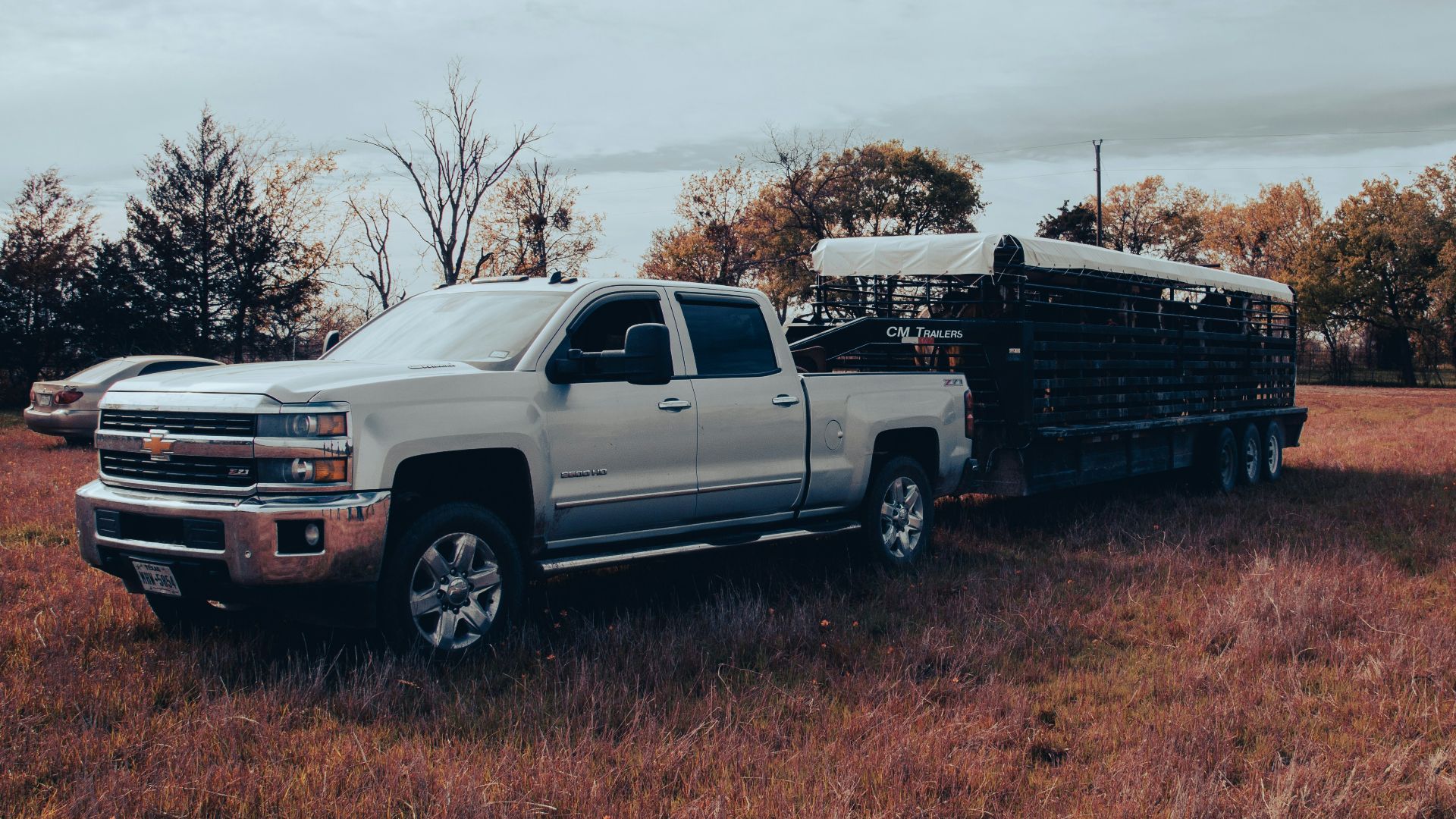 a silver truck parked in a field with trees in the background