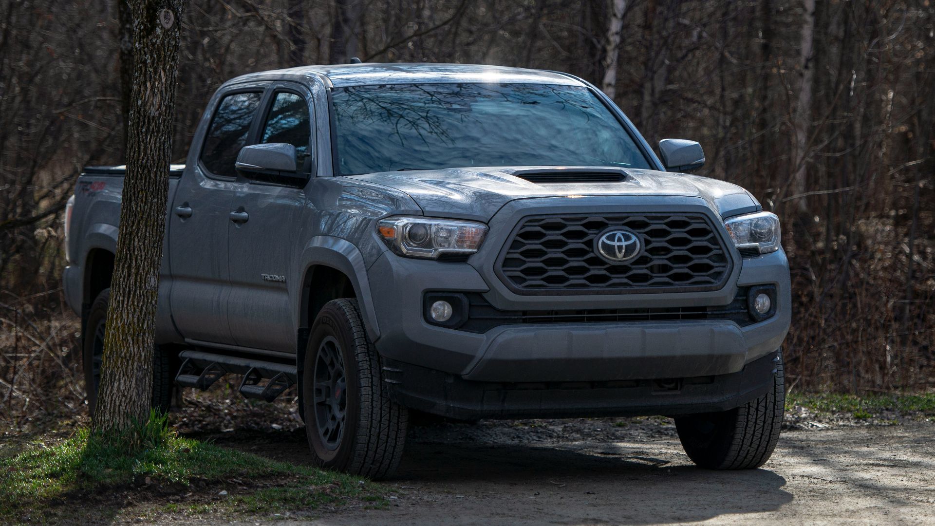 gray chevrolet crew cab pickup truck parked on forest during daytime