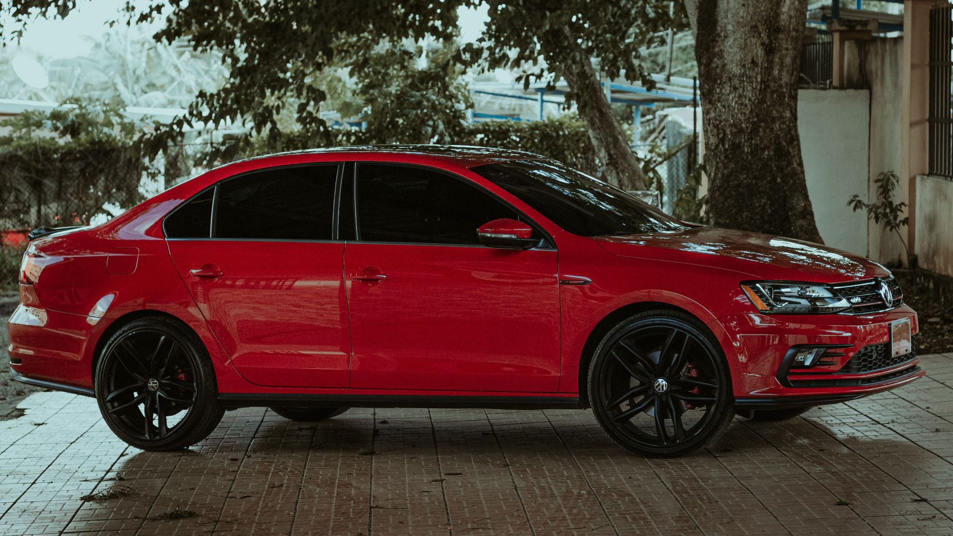 A striking red sedan parked under a tree on a paved surface, exuding style and elegance.