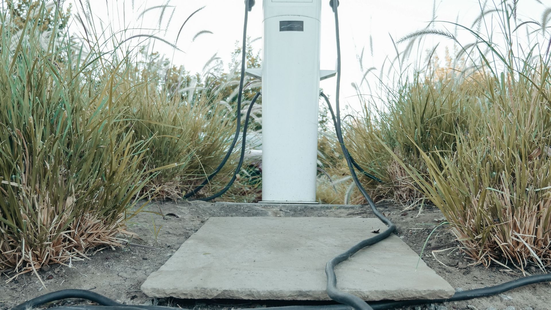 Modern electric vehicle charging station with cables in a green outdoor setting.