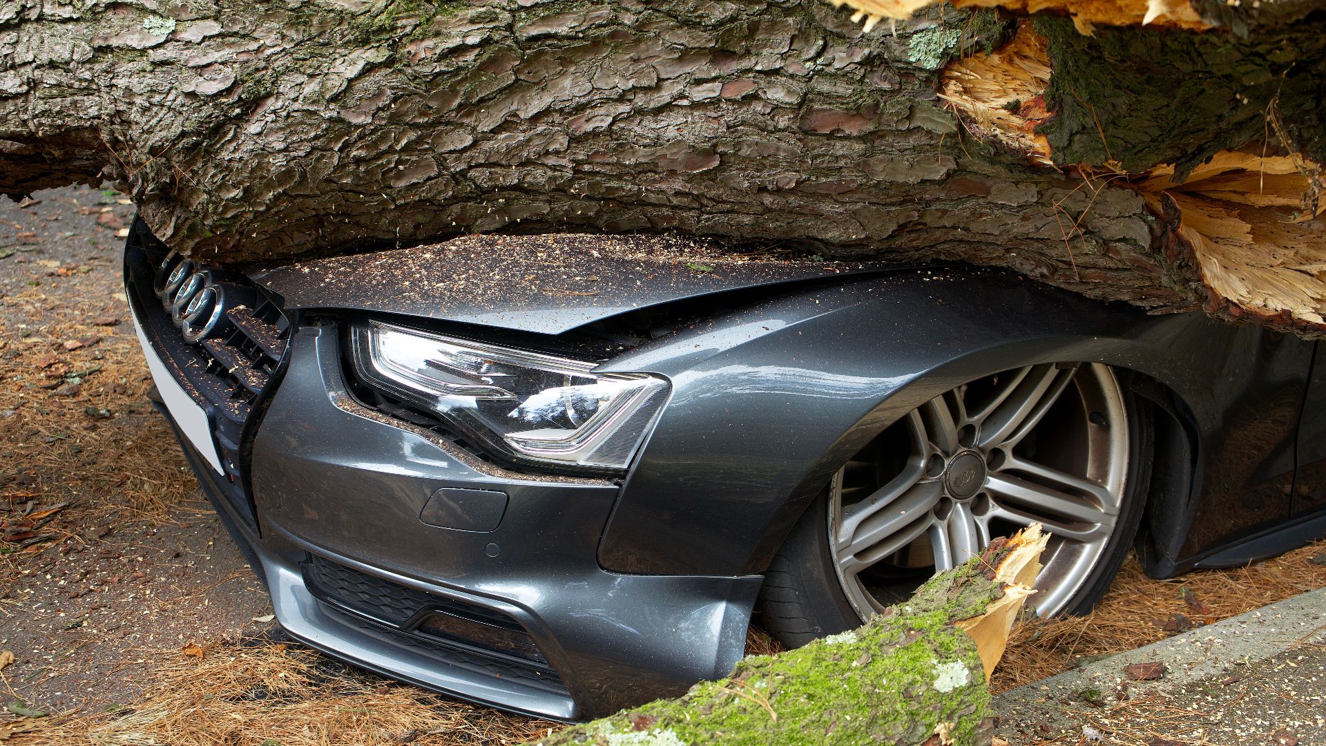 A vehicle damaged by a fallen tree after an accident in the United Kingdom.