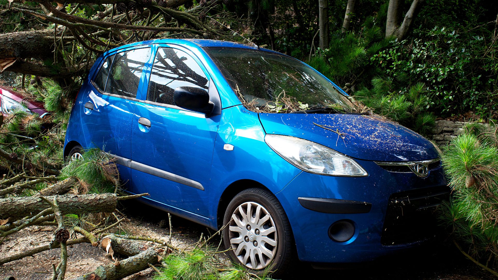 A blue car trapped under fallen trees in a post-storm scene in the UK.